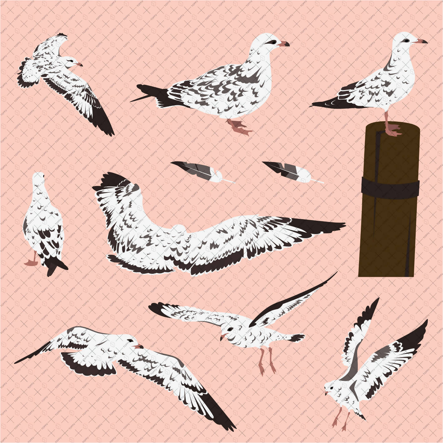 Flat Vector Marine Gulls PNG - Toffu Co