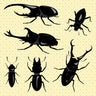 Flat Vector Beetles PNG - Toffu Co