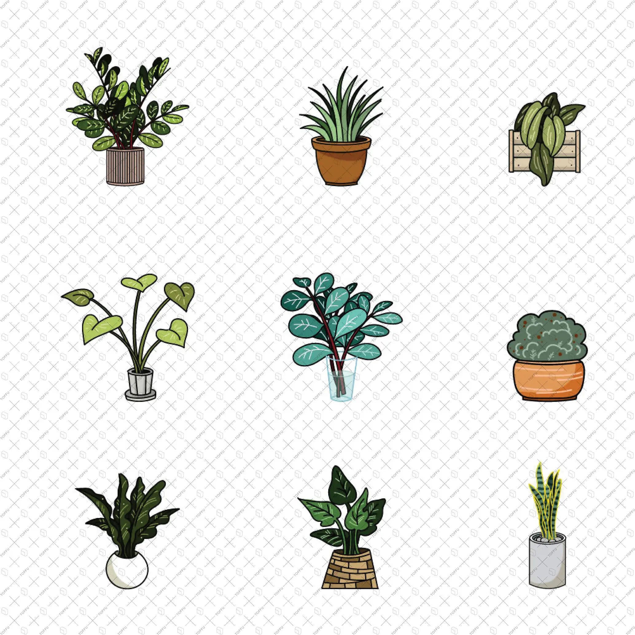 Flat Vector 20 Indoor Plants Digital Artwork drawings | Toffu Co