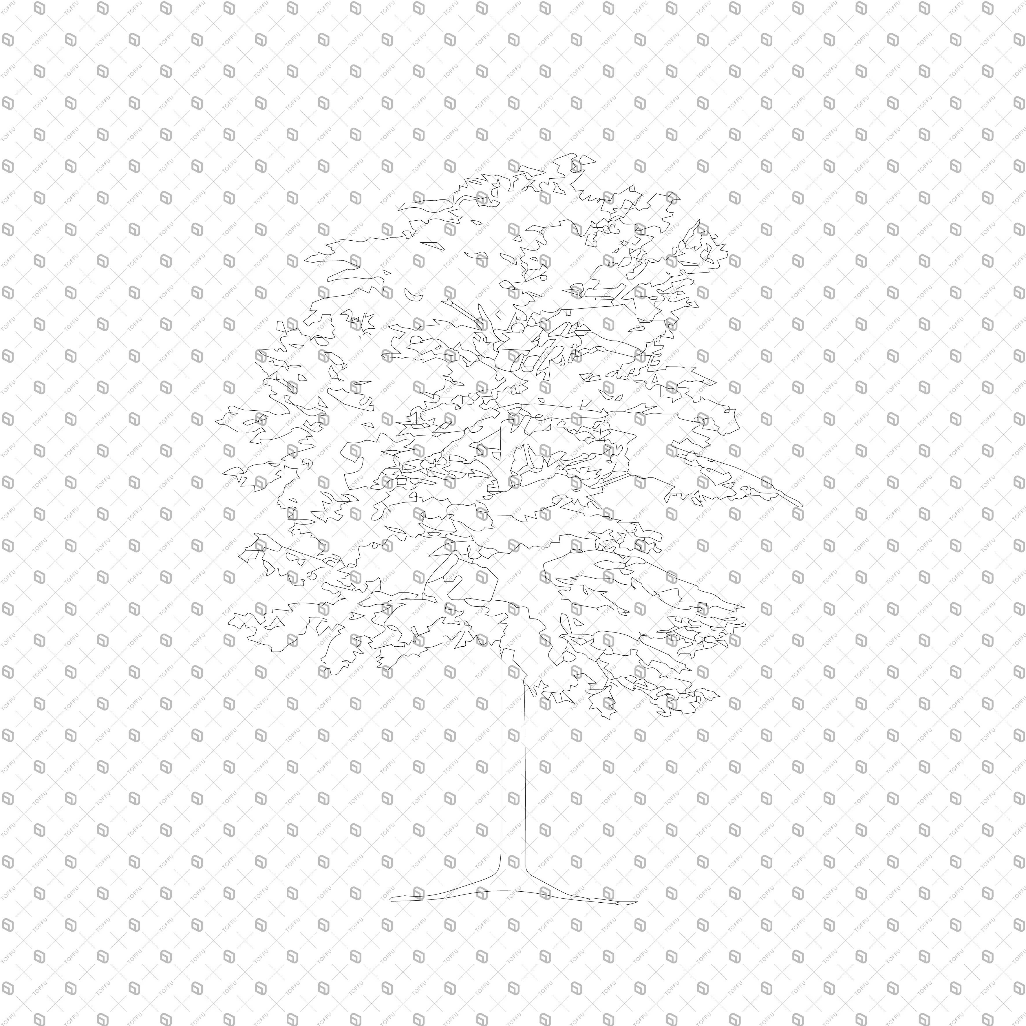 Cad Outlined Trees PNG - Toffu Co