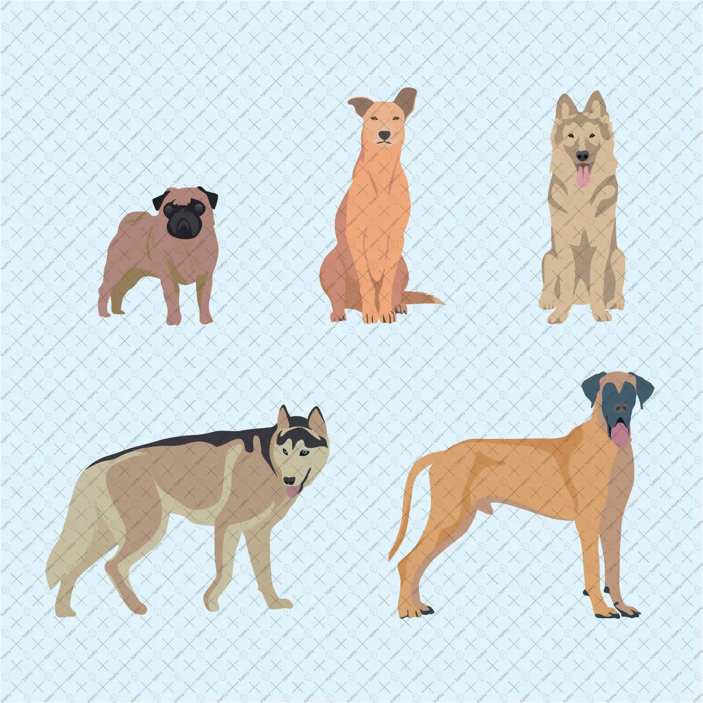 Flat Vector 50 Pet Animals & Birds Digital Artwork drawings | Toffu Co