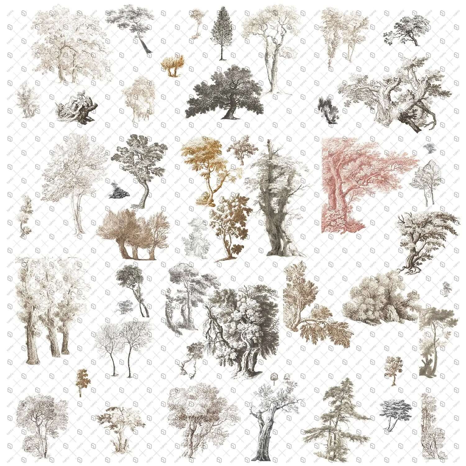 Cutout Trees From Illustration Digital Artwork drawings | Toffu Co