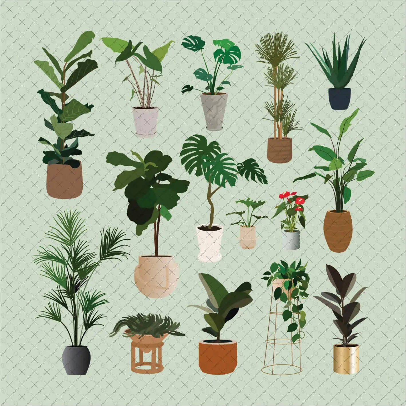 Flat Vector 15 Plants Pack Digital Artwork drawings | Toffu Co