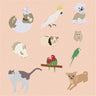 Flat Vector Pets Pack PNG - Toffu Co