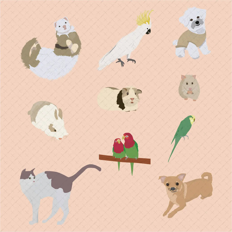 Flat Vector Pets Illustrations – Toffu Co