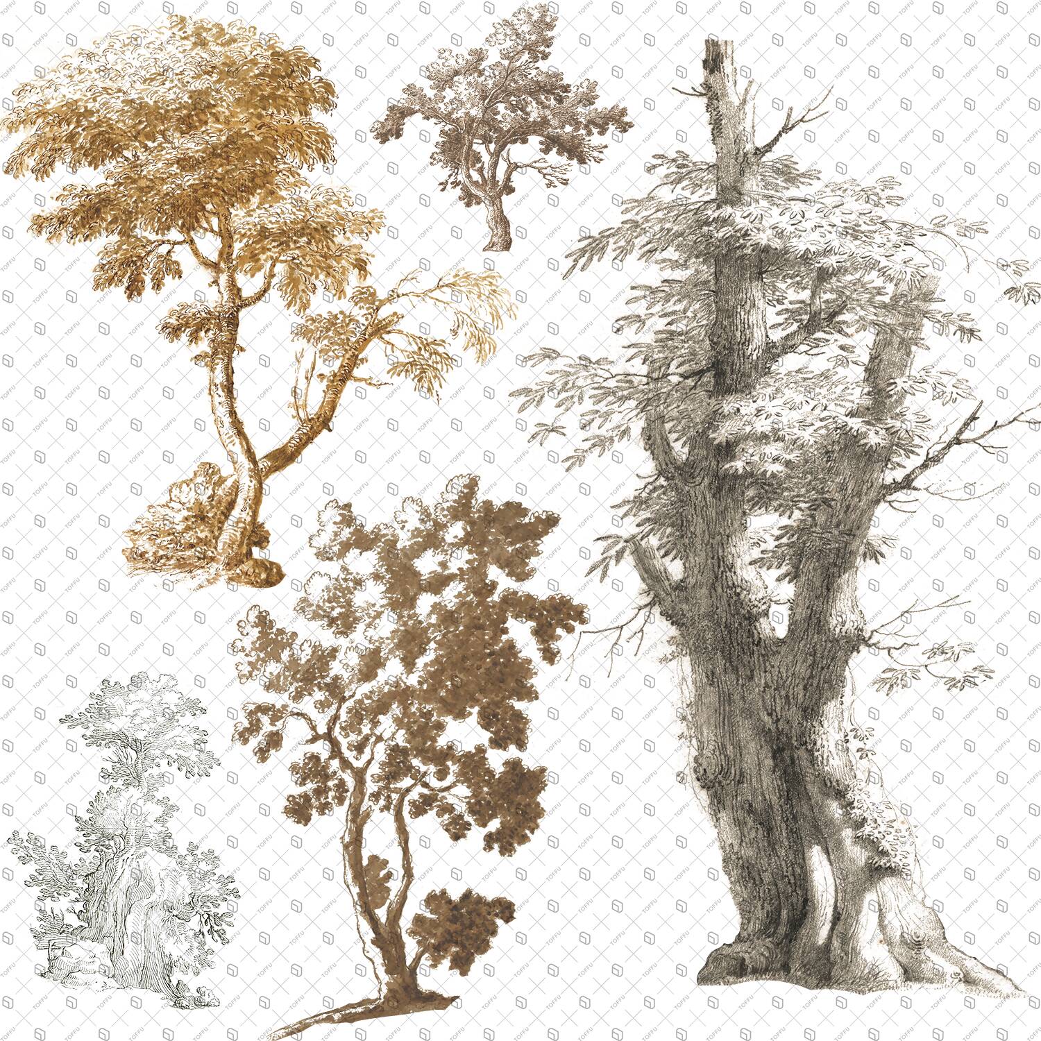 Cutout Trees From Illustration PNG - Toffu Co