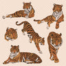 Flat Vector Animals, Tiger PNG - Toffu Co