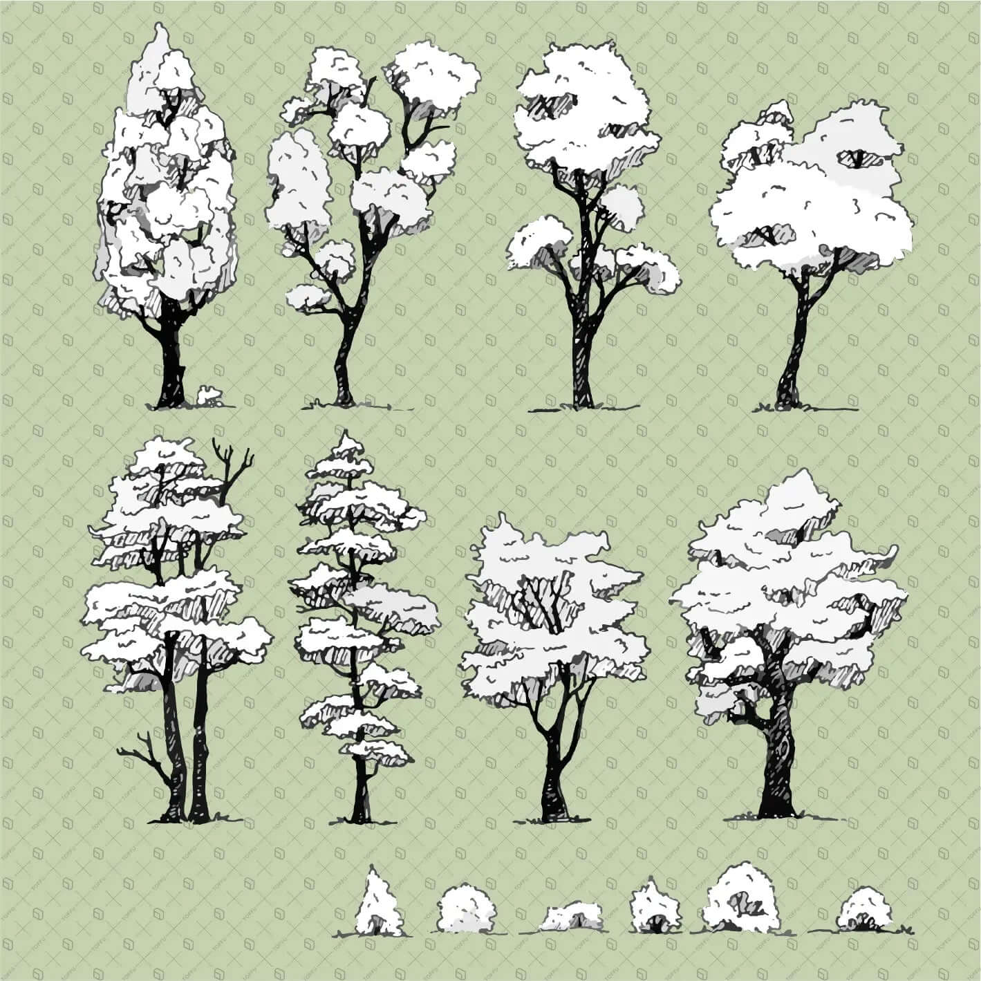 Flat Vector Freehand Trees and Bushes Digital Artwork drawings | Toffu Co