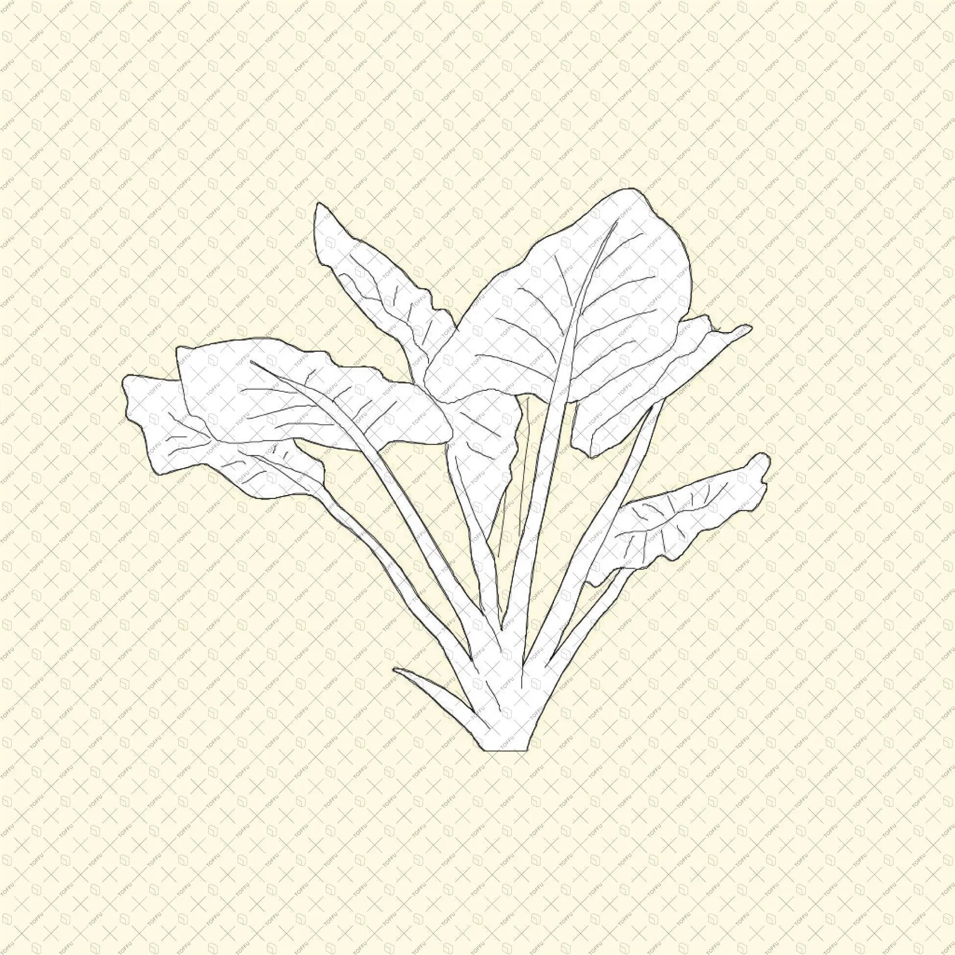 Cad Tropical Trees Digital Artwork drawings | Toffu Co