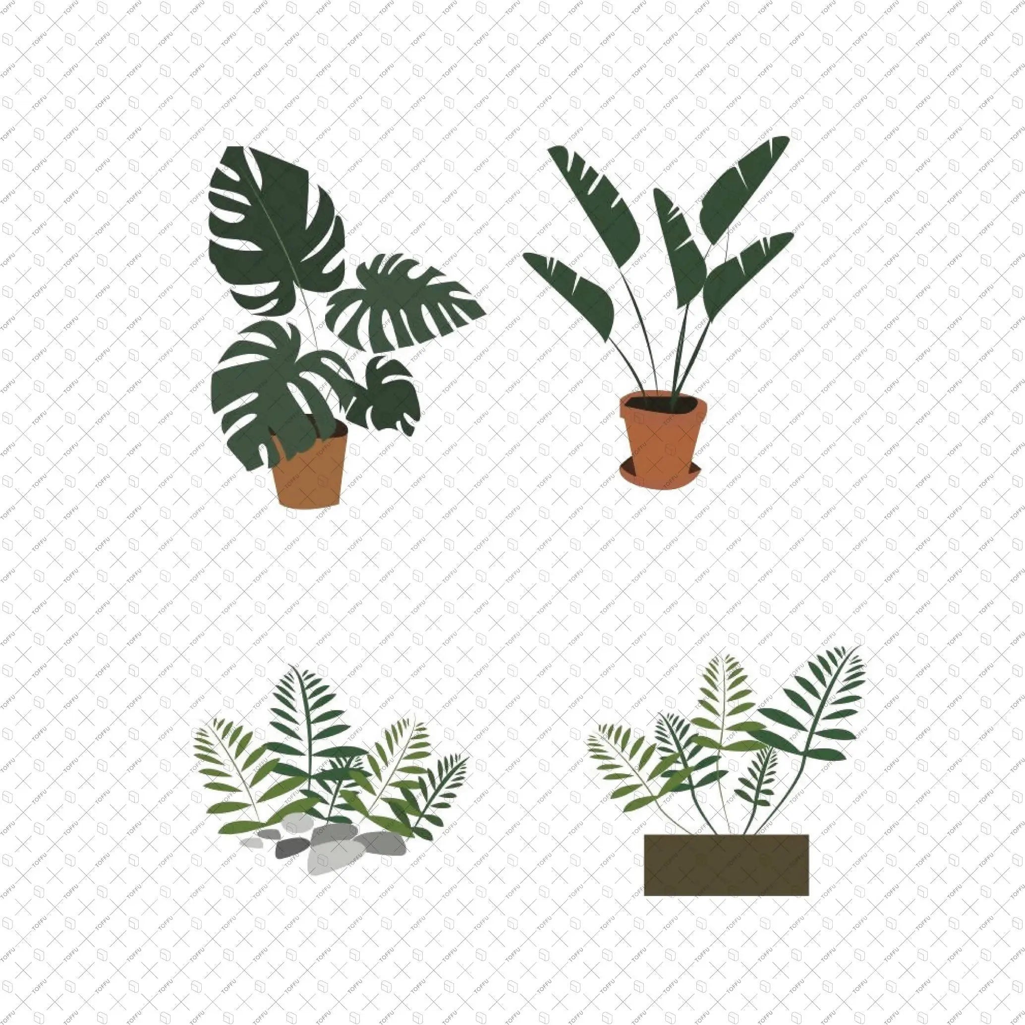 Flat Vector Plants Jungle 15+ Digital Artwork drawings | Toffu Co