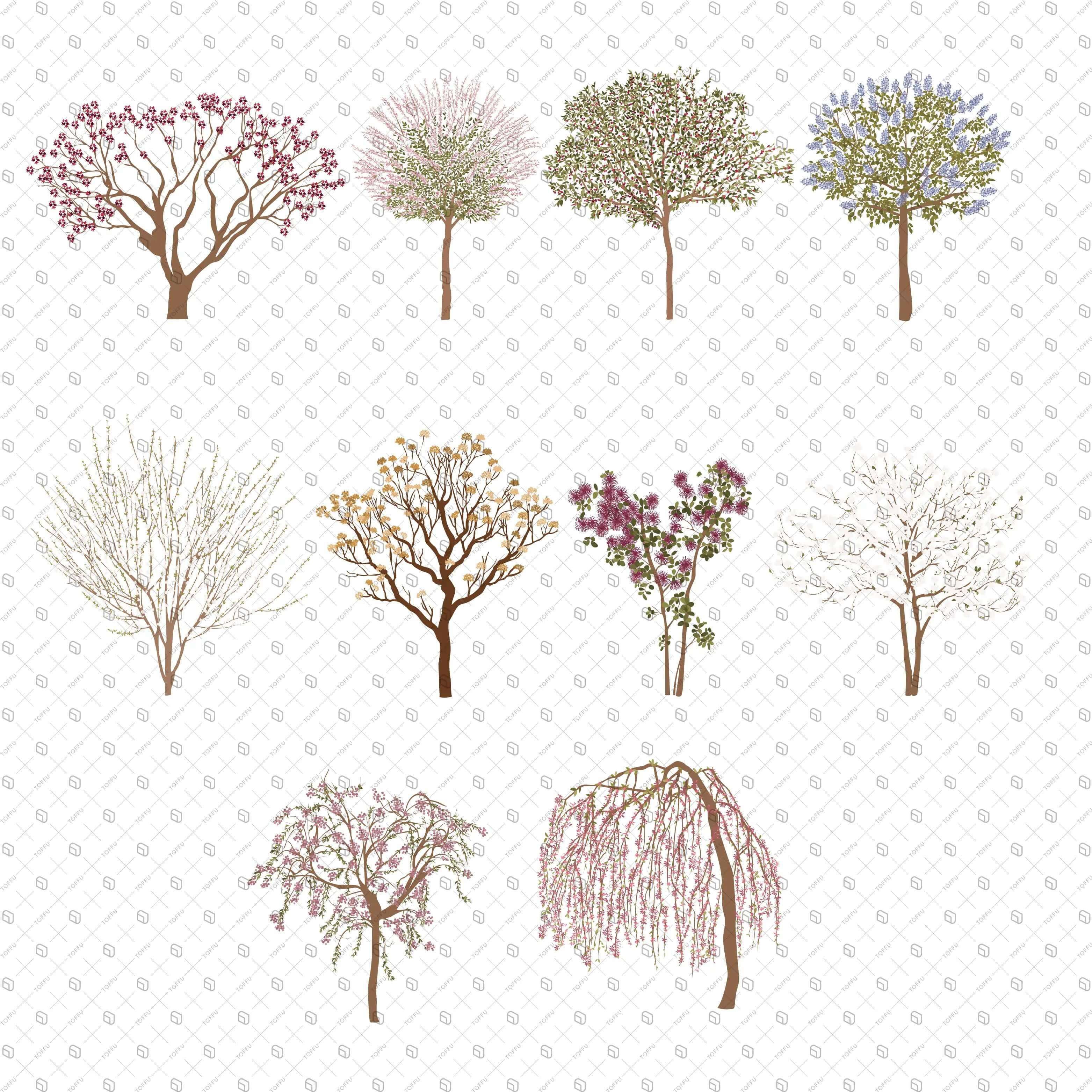 Flat Vector Floral Trees Digital Artwork drawings | Toffu Co