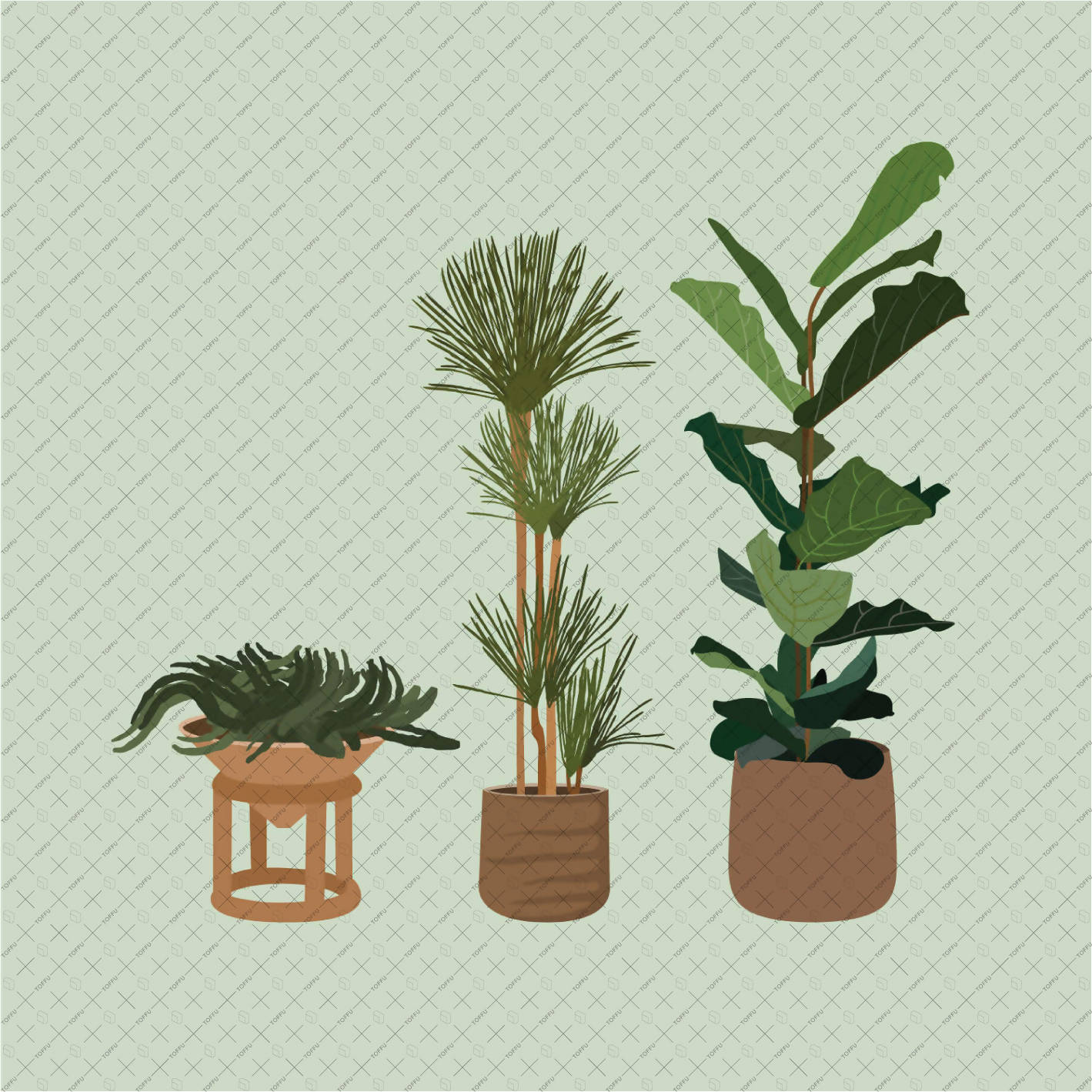 Flat Vector 15 Plants Pack PNG - Toffu Co