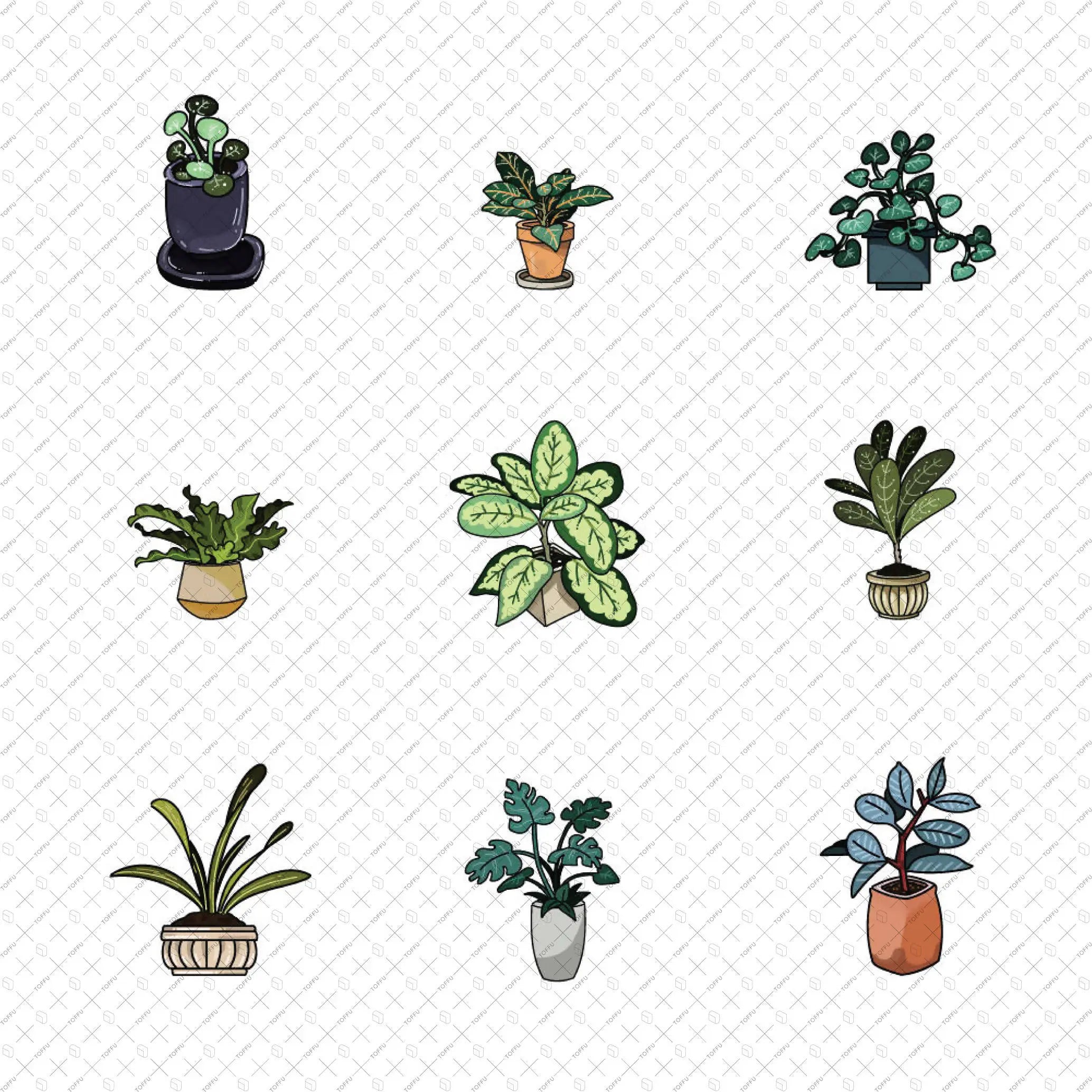 Flat Vector 20 Indoor Plants Digital Artwork drawings | Toffu Co