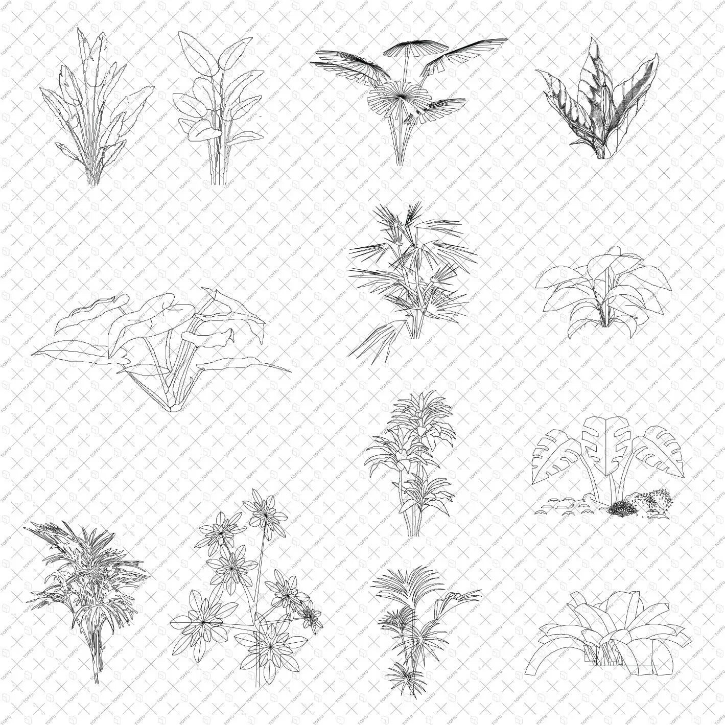 Cad Tropical Vegetation Digital Artwork drawings | Toffu Co