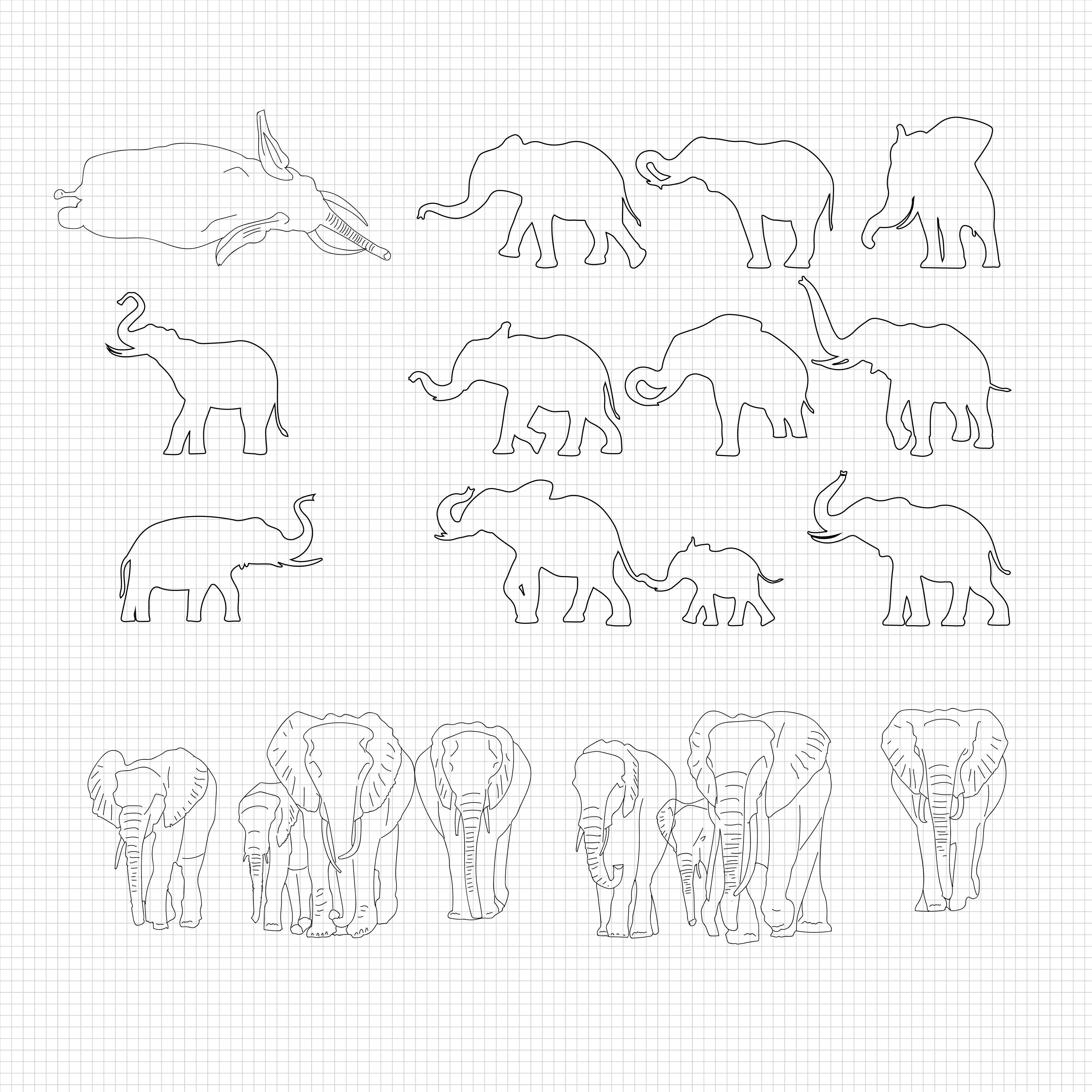 Cad African elephants PNG - Toffu Co