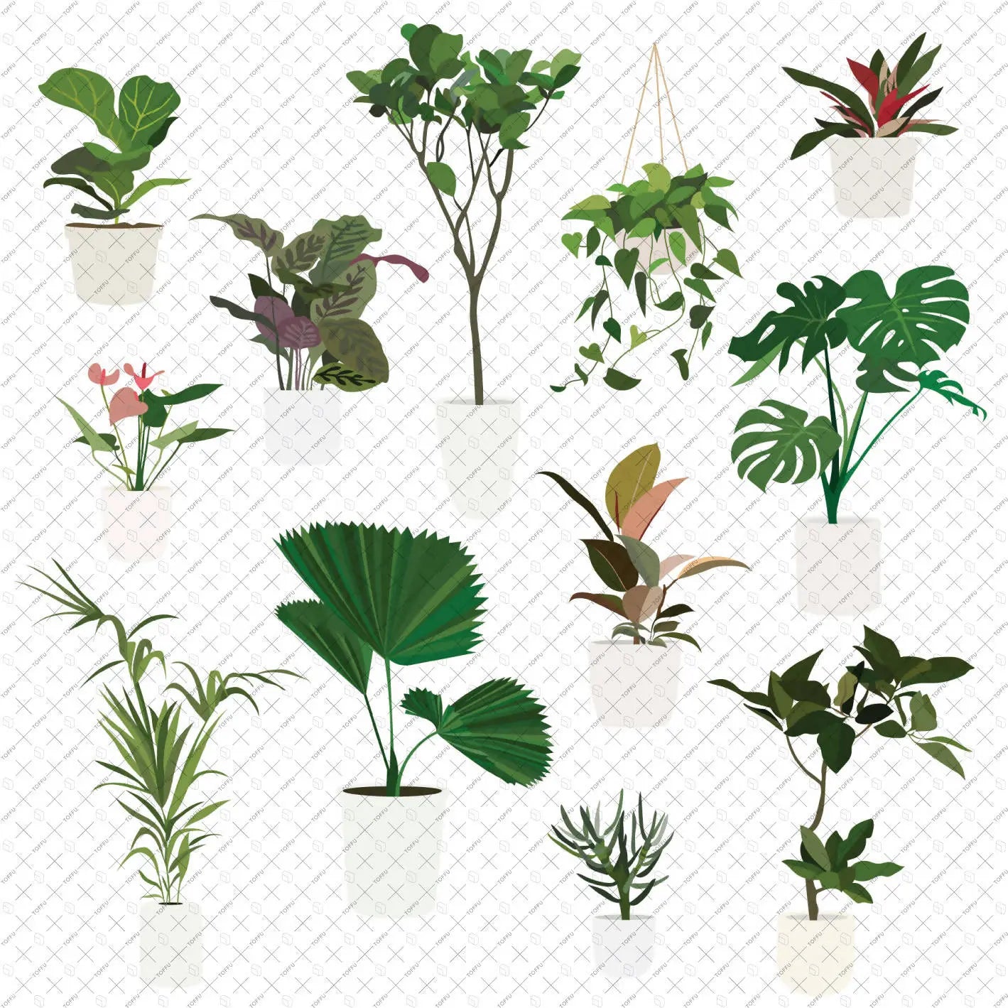 Flat Vector Plants in White Pots (12 Figures) Digital Artwork drawings | Toffu Co
