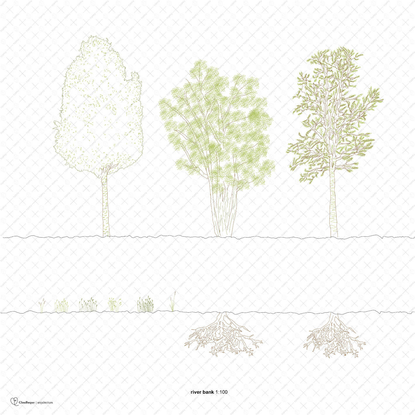 Cad River Bank Forest DWG | Toffu Co