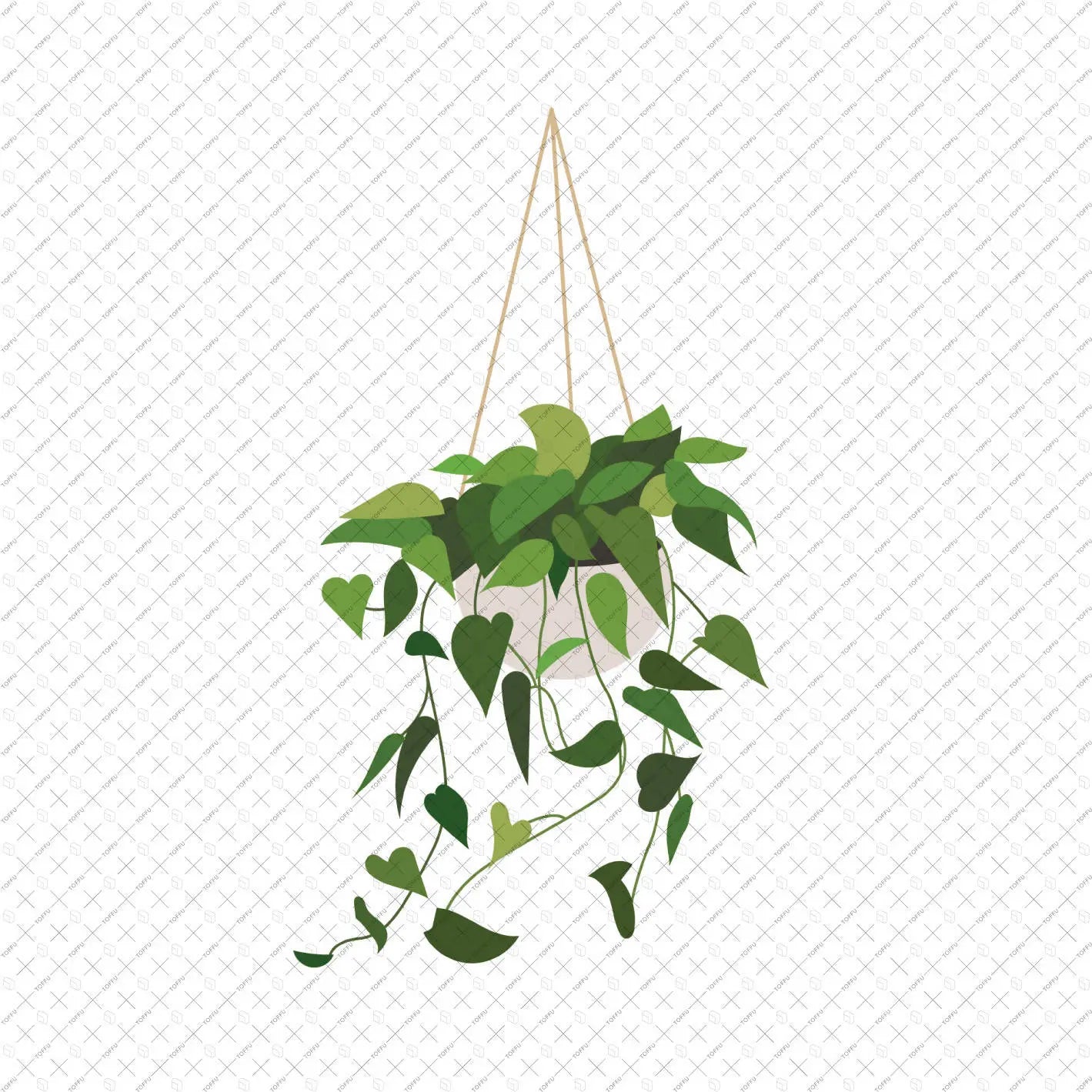Flat Vector Plants in White Pots (12 Figures) Digital Artwork drawings | Toffu Co