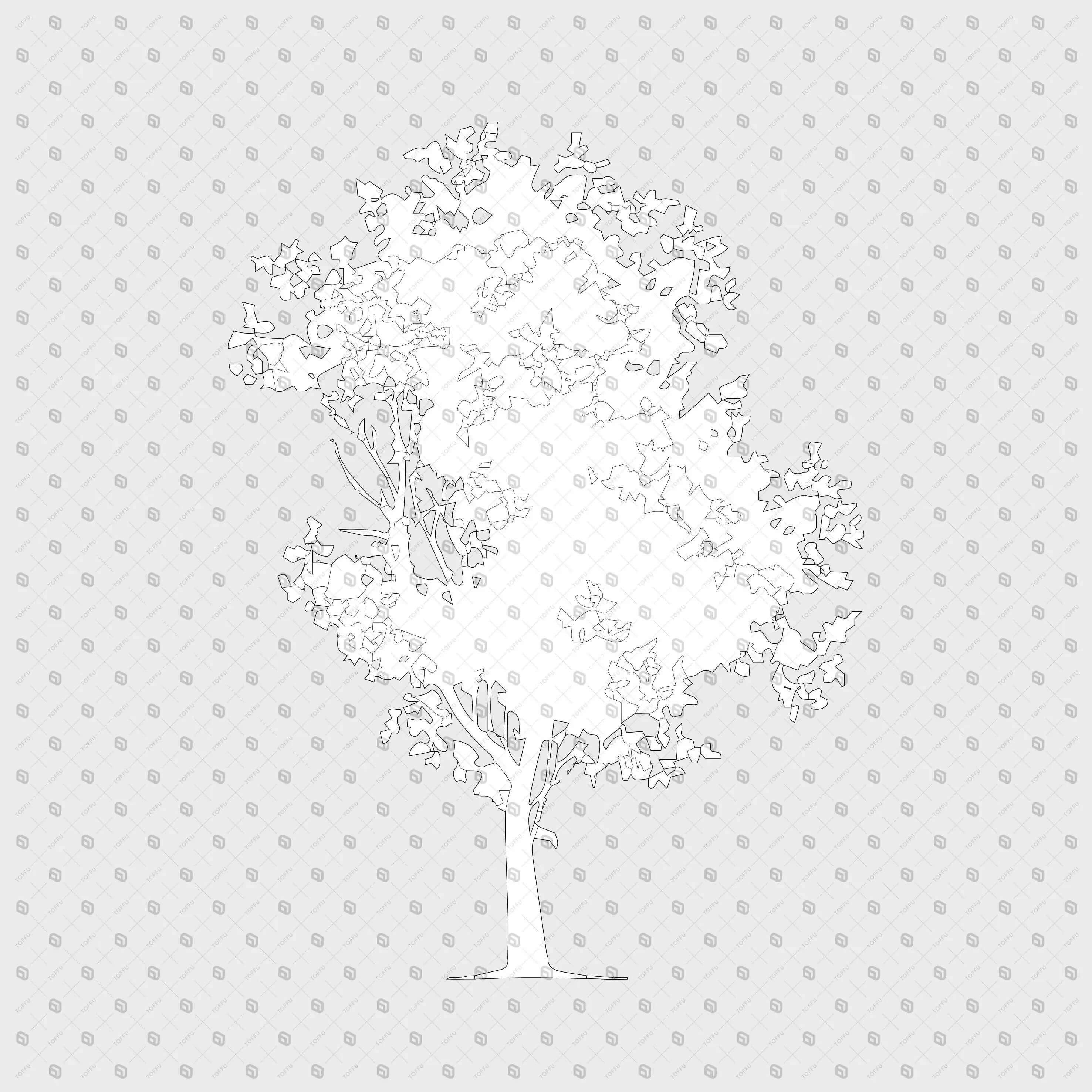 Cad Trees PNG - Toffu Co