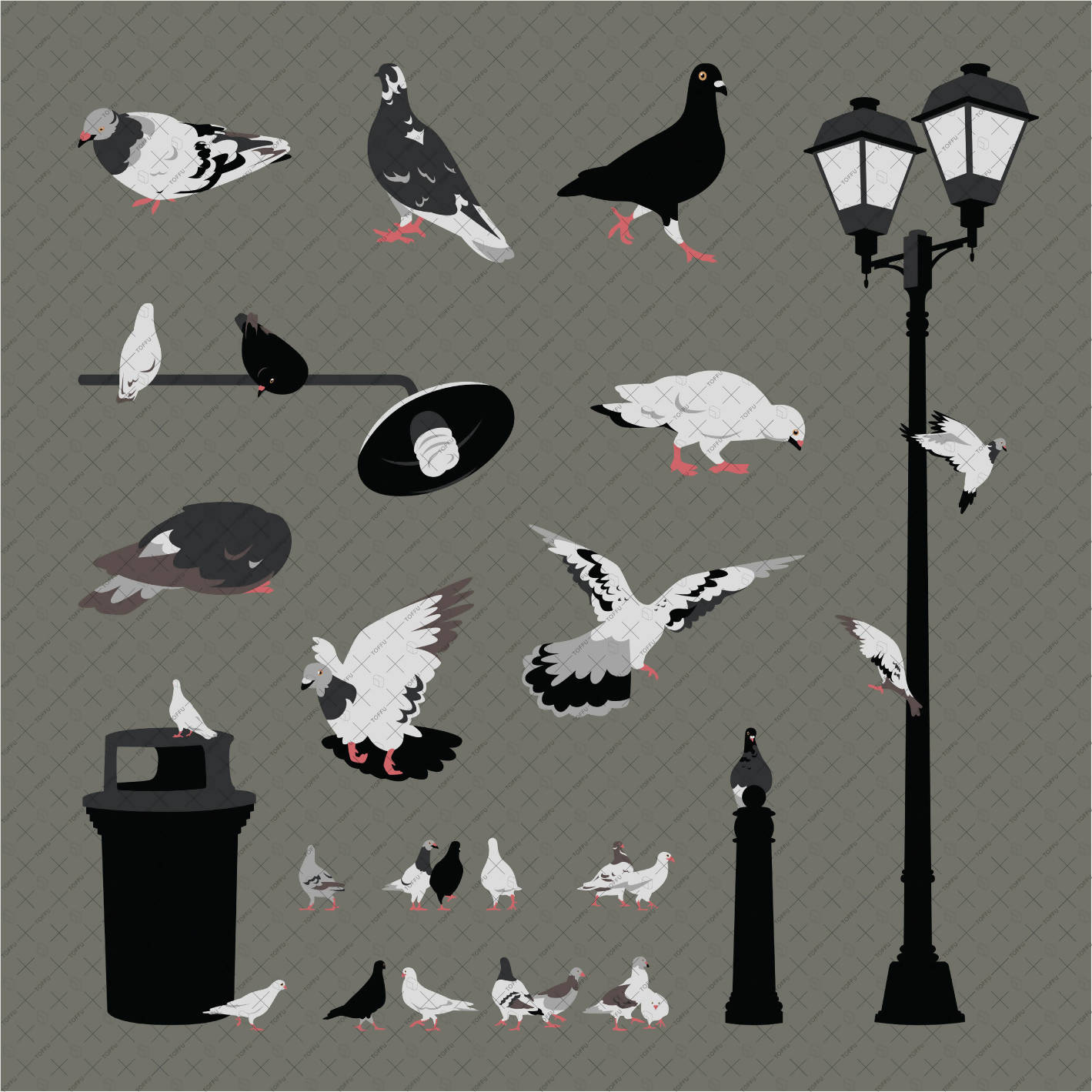 Flat Vector City Pigeons PNG - Toffu Co