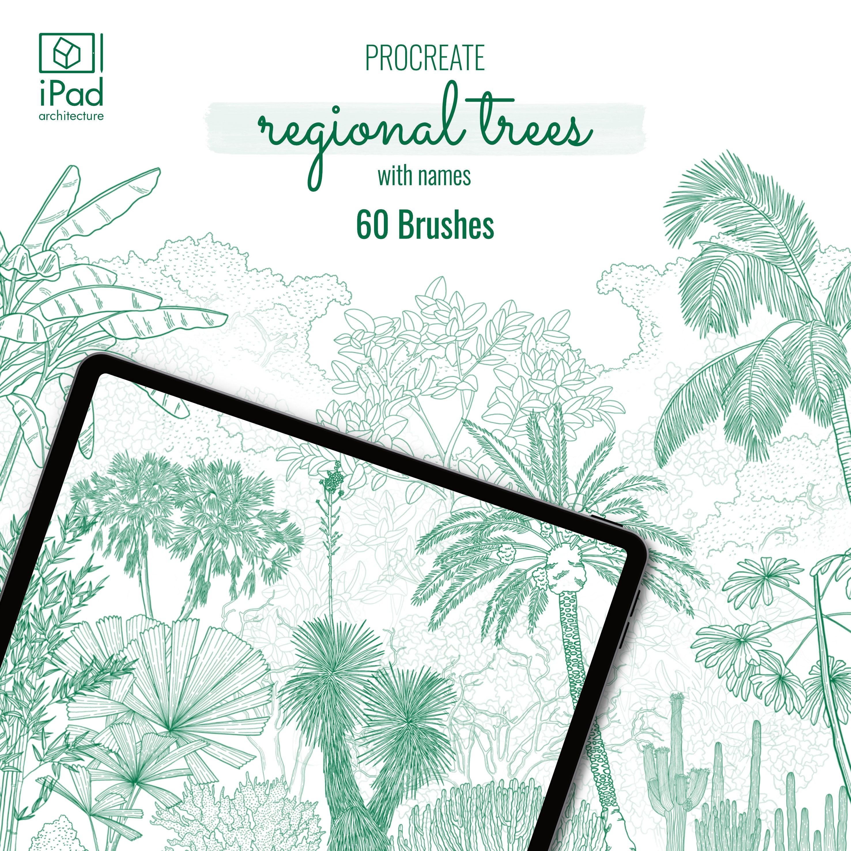 Procreate Regional Trees Brushset PNG - Toffu Co