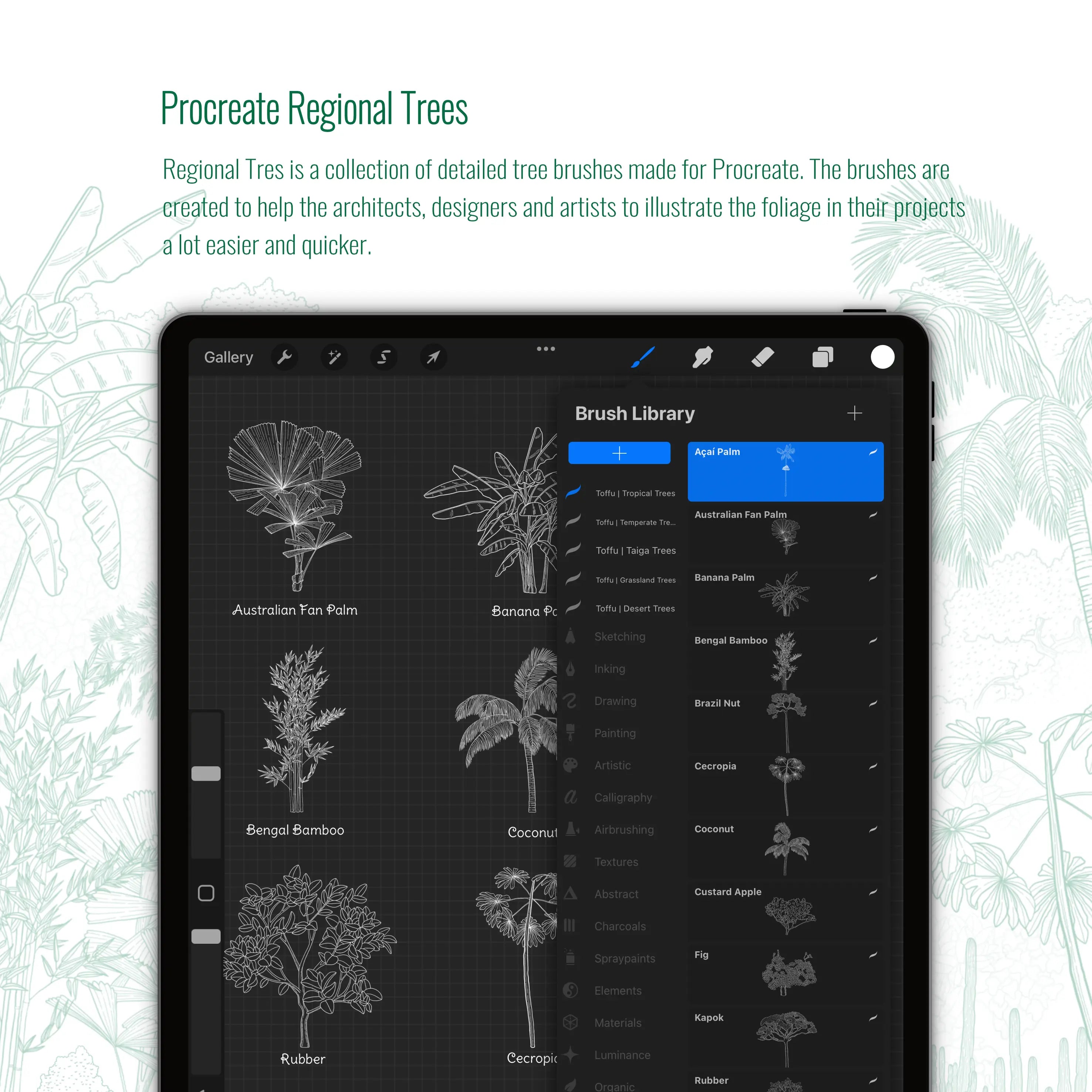 Procreate Regional Trees Brushset PNG - Toffu Co