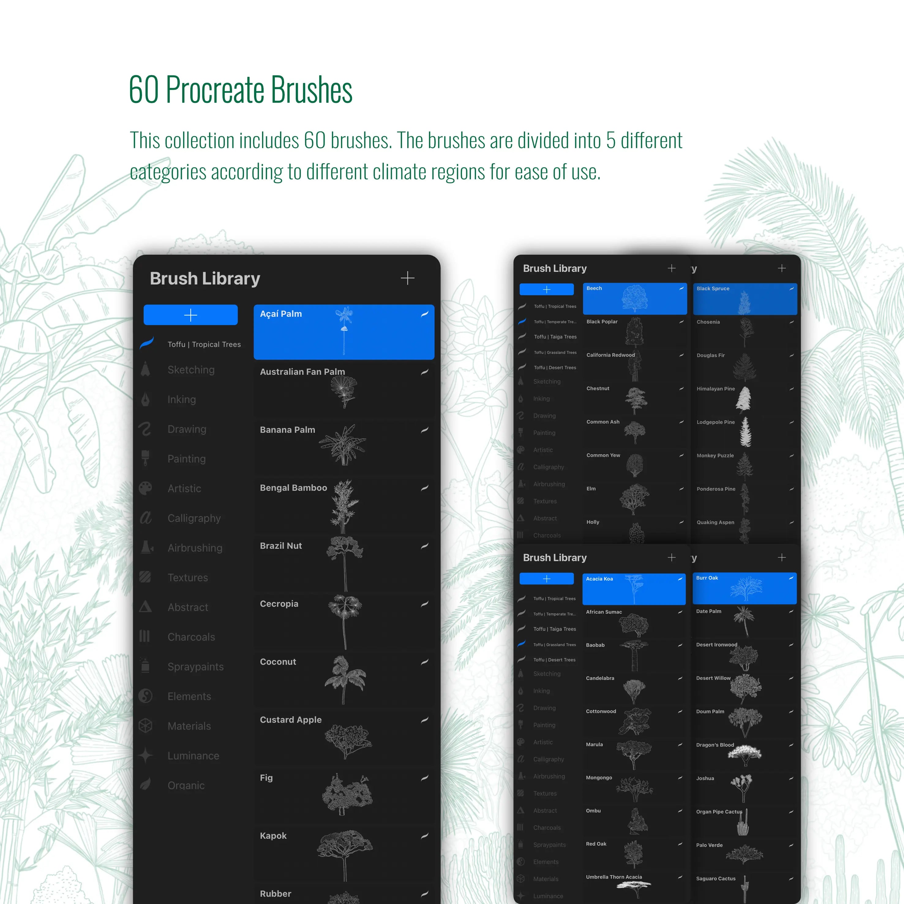 Procreate Regional Trees Brushset PNG - Toffu Co