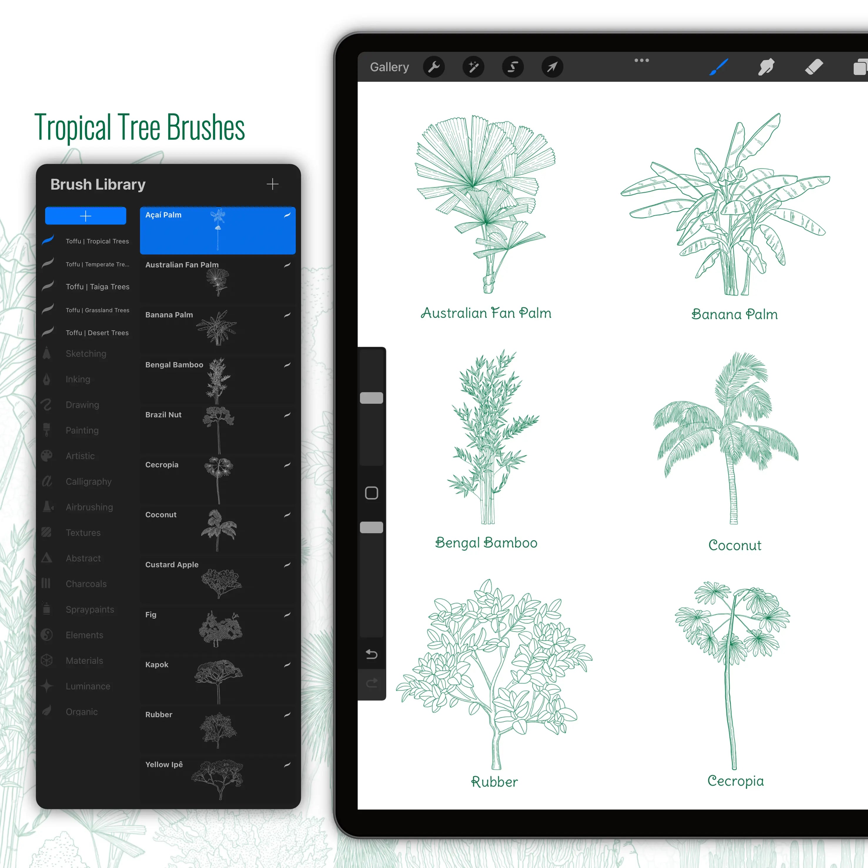 Procreate Regional Trees Brushset PNG - Toffu Co