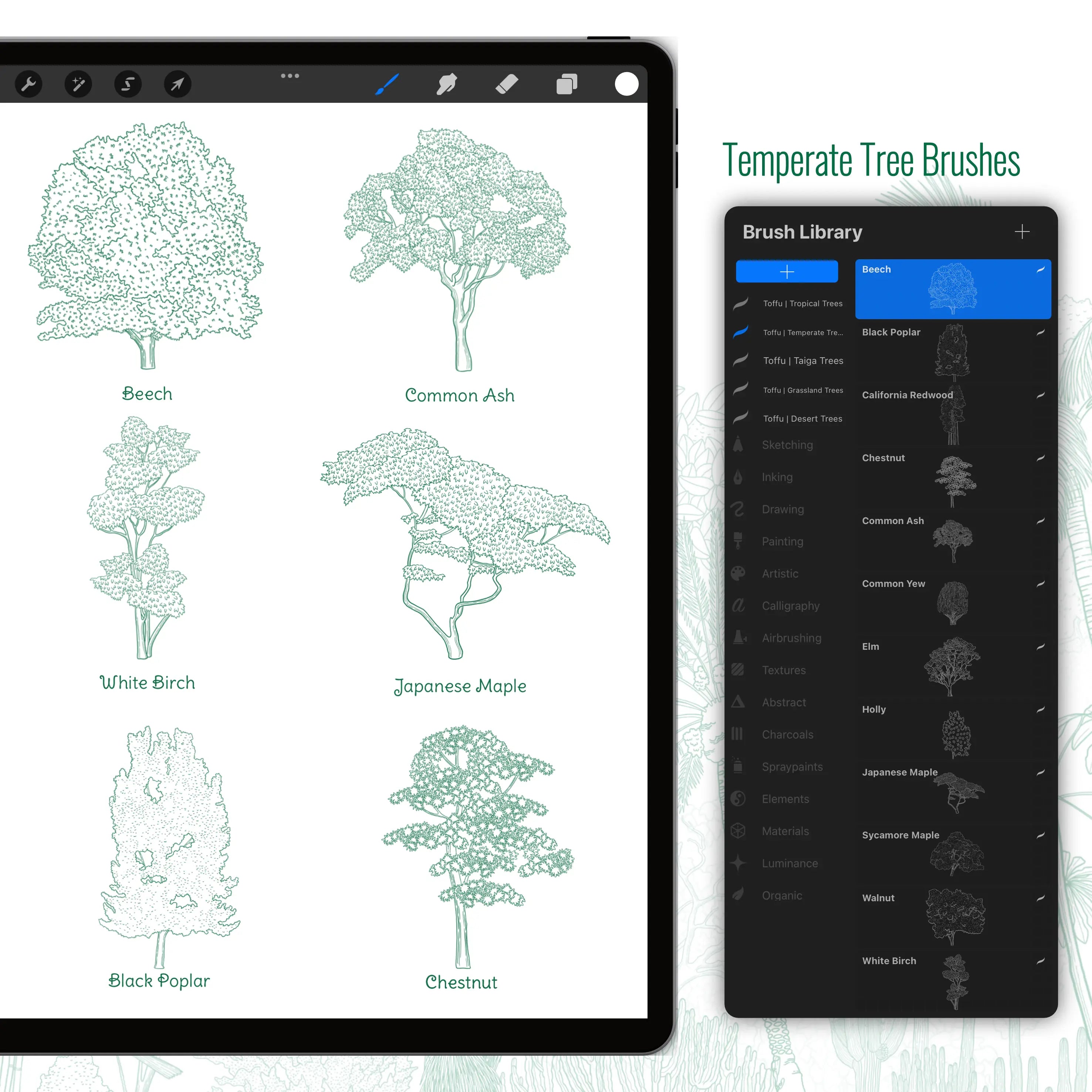 Procreate Regional Trees Brushset PNG - Toffu Co