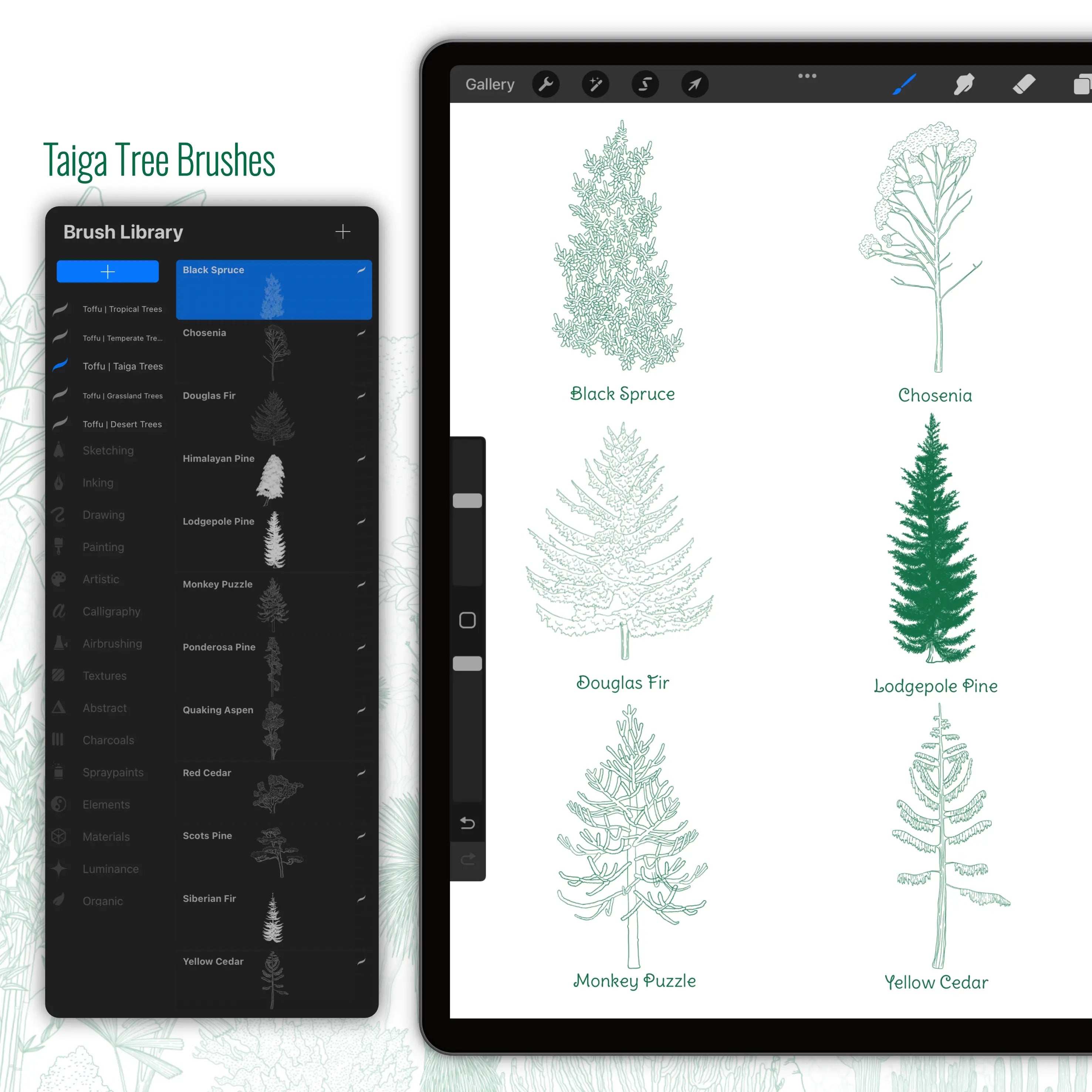 Procreate Regional Trees Brushset PNG - Toffu Co