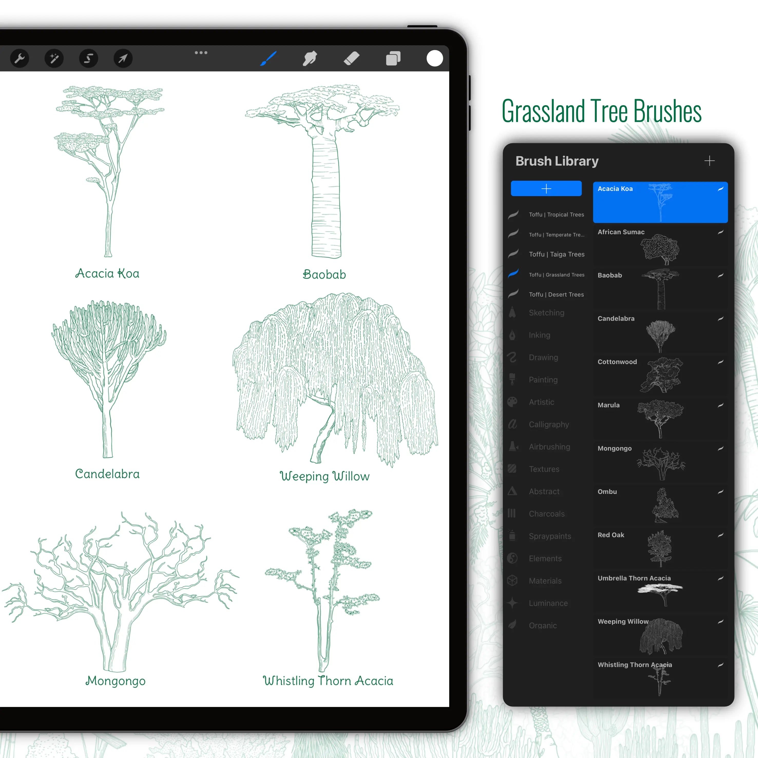 Procreate Regional Trees Brushset PNG - Toffu Co