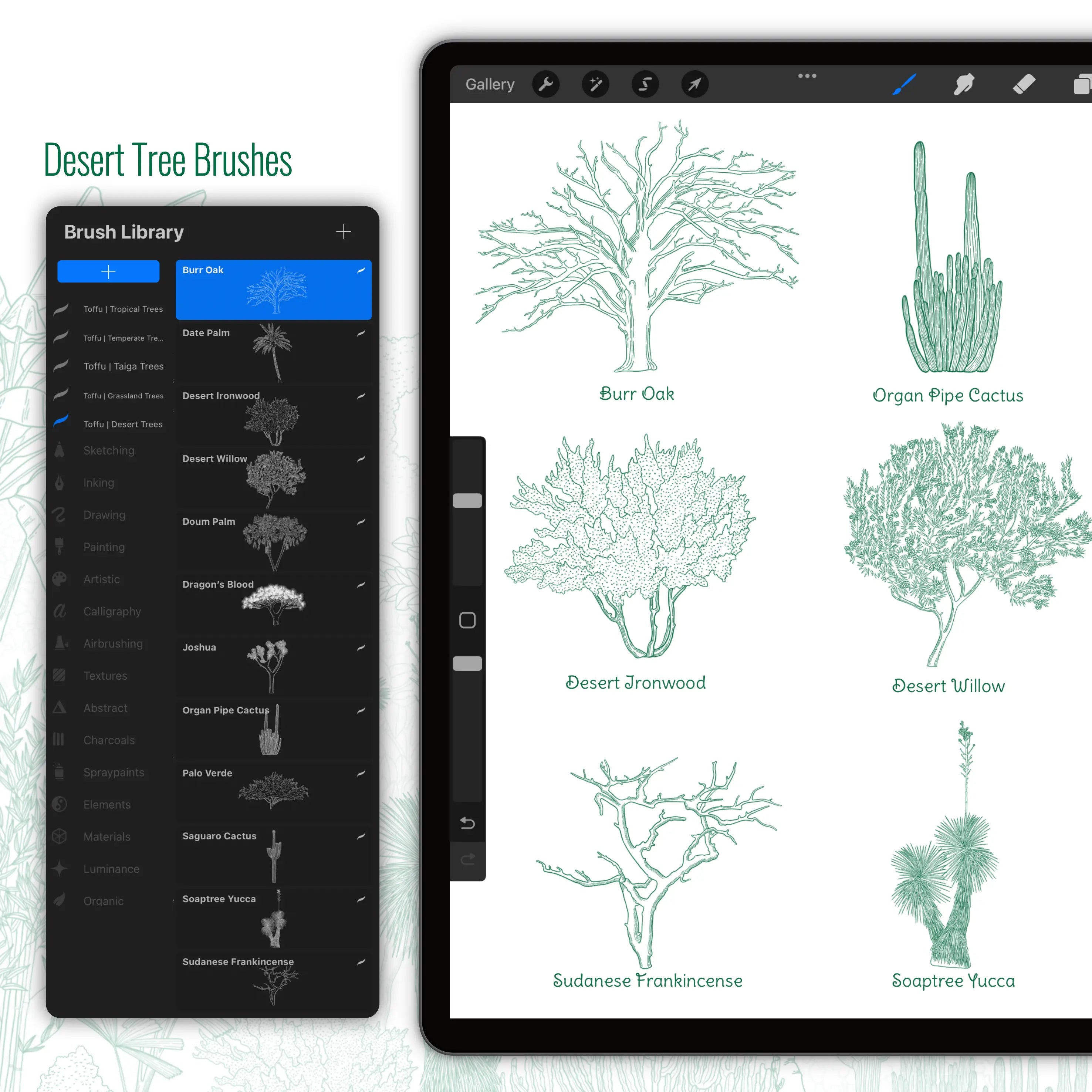 Procreate Regional Trees Brushset PNG - Toffu Co