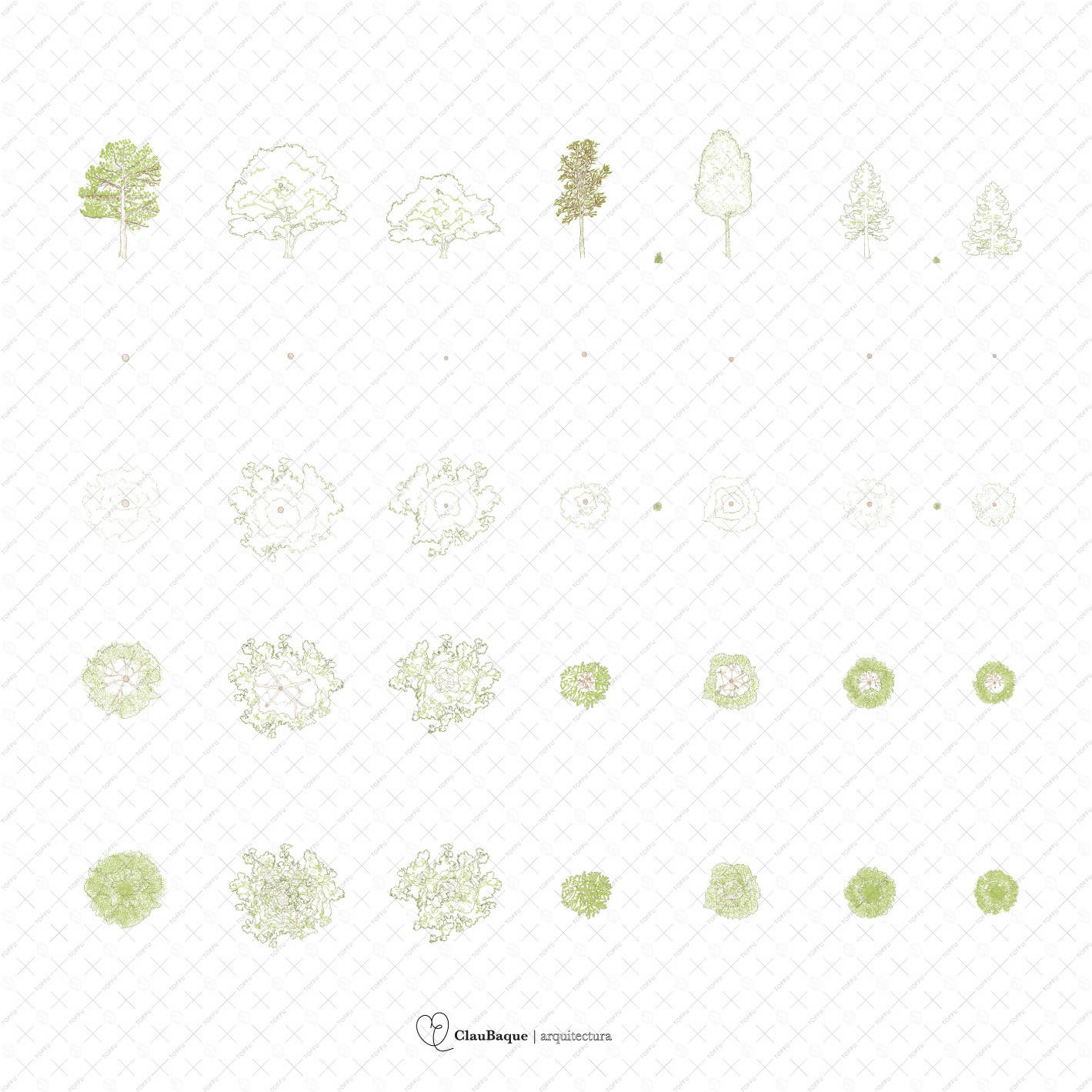 Cad Detailed Trees DWG | Toffu Co