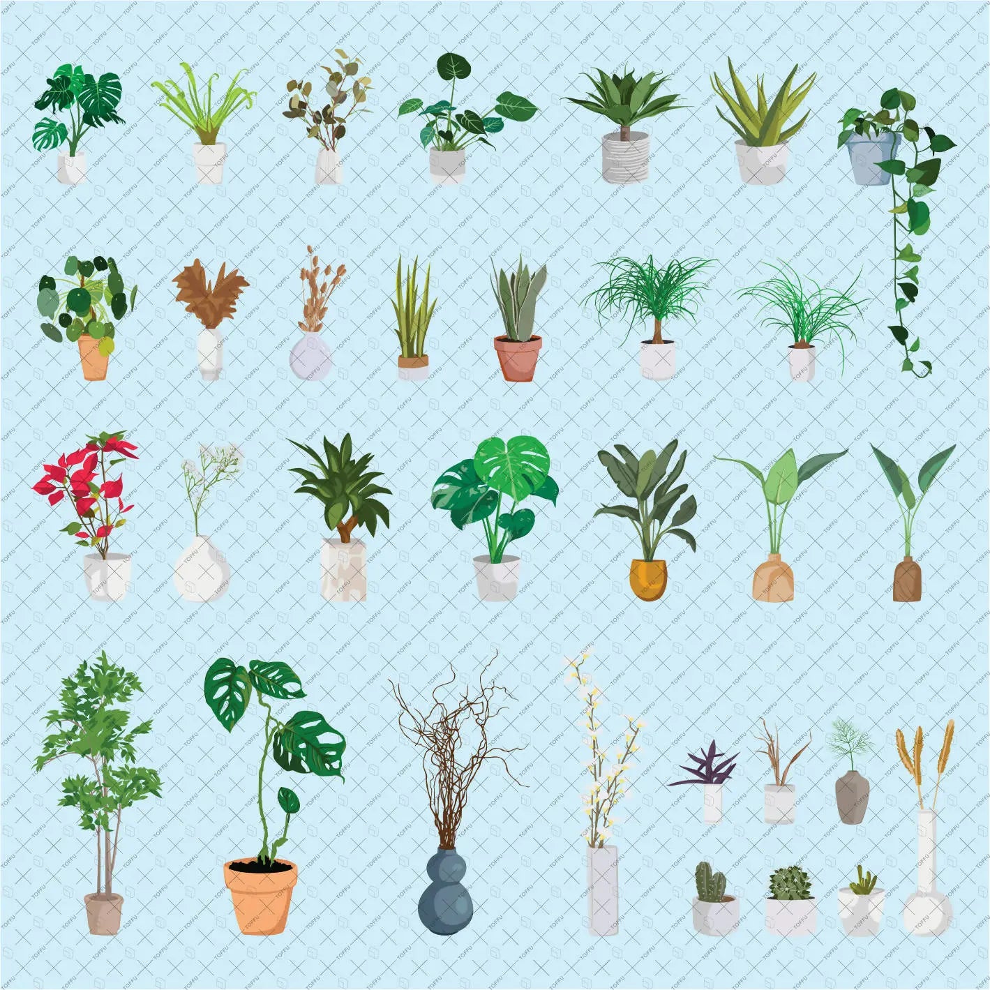 Flat Vector Indoor Plants Digital Artwork drawings | Toffu Co