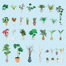 Flat Vector Indoor Plants PNG - Toffu Co