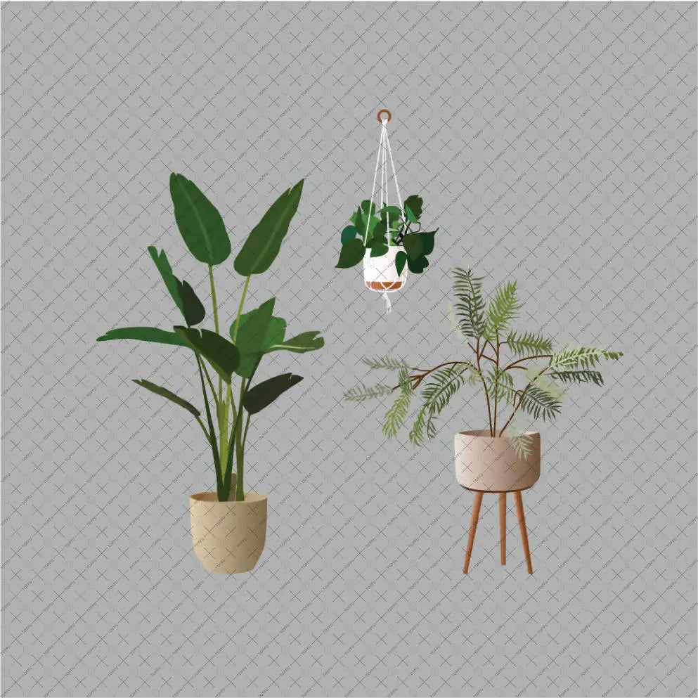 Flat Vector 14 Plants Pack Digital Artwork drawings | Toffu Co