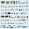 Flat Vector 100 Wild Animals & Birds PNG - Toffu Co