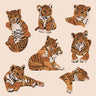 Flat Vector Animals, Tiger 2 PNG - Toffu Co