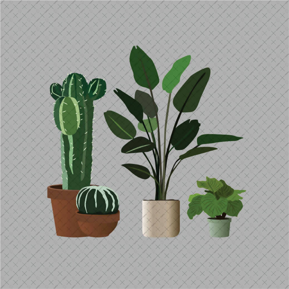 Flat Vector 14 Plants Pack PNG - Toffu Co