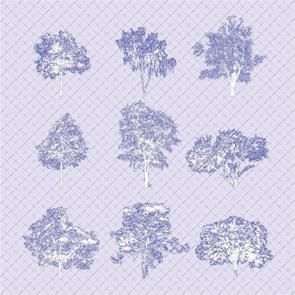 Flat Vector Trees PNG - Toffu Co