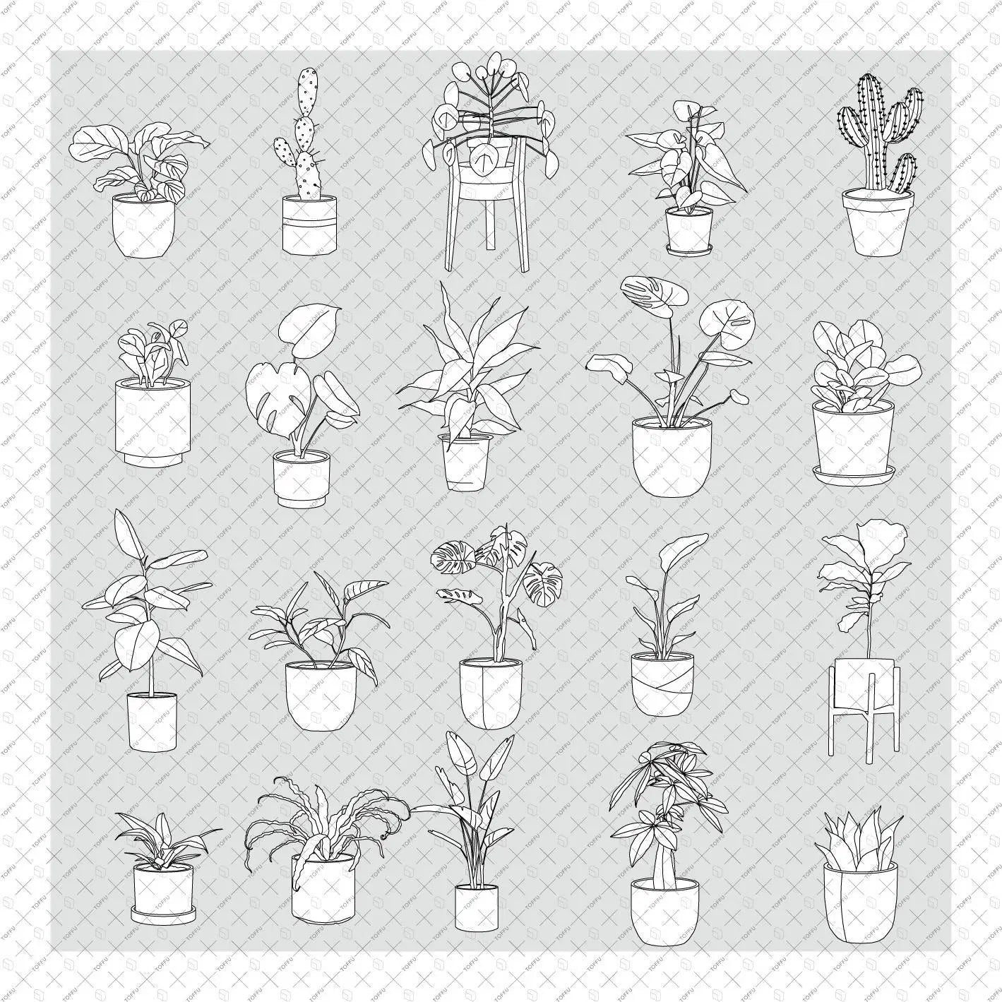 Flat Vector Potted Plants Outline (20 Figures) Digital Artwork drawings | Toffu Co