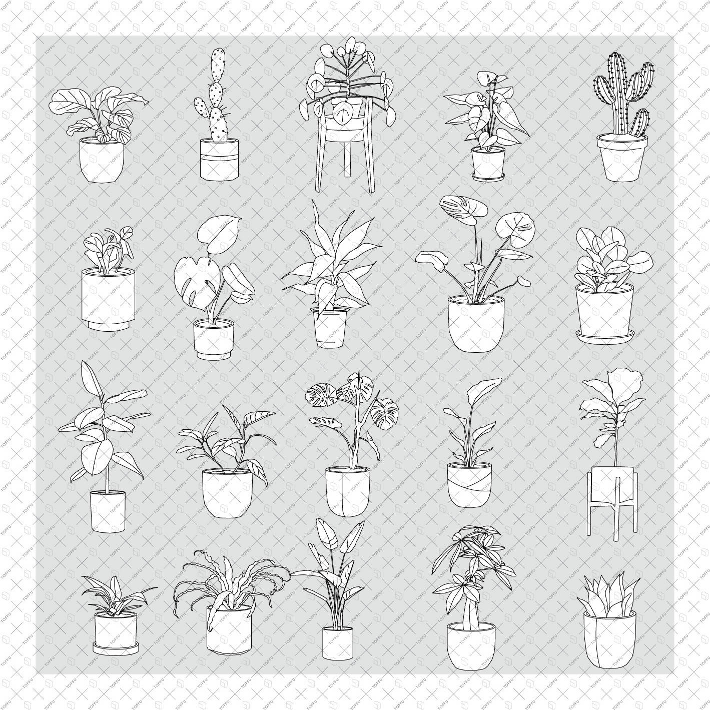 Flat Vector Potted Plants Outline (20 Figures) PNG - Toffu Co