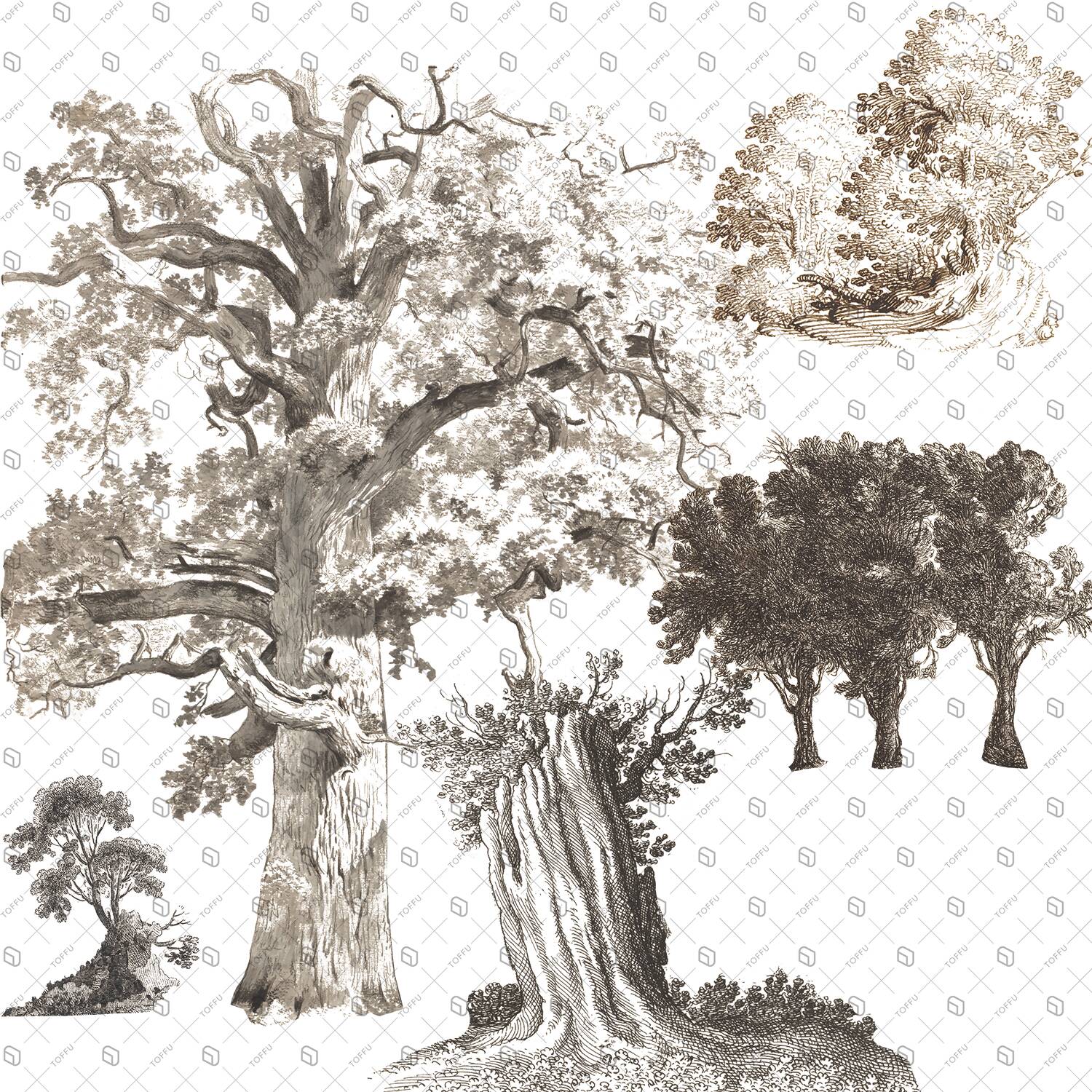 Cutout Trees From Illustration 2 PNG - Toffu Co