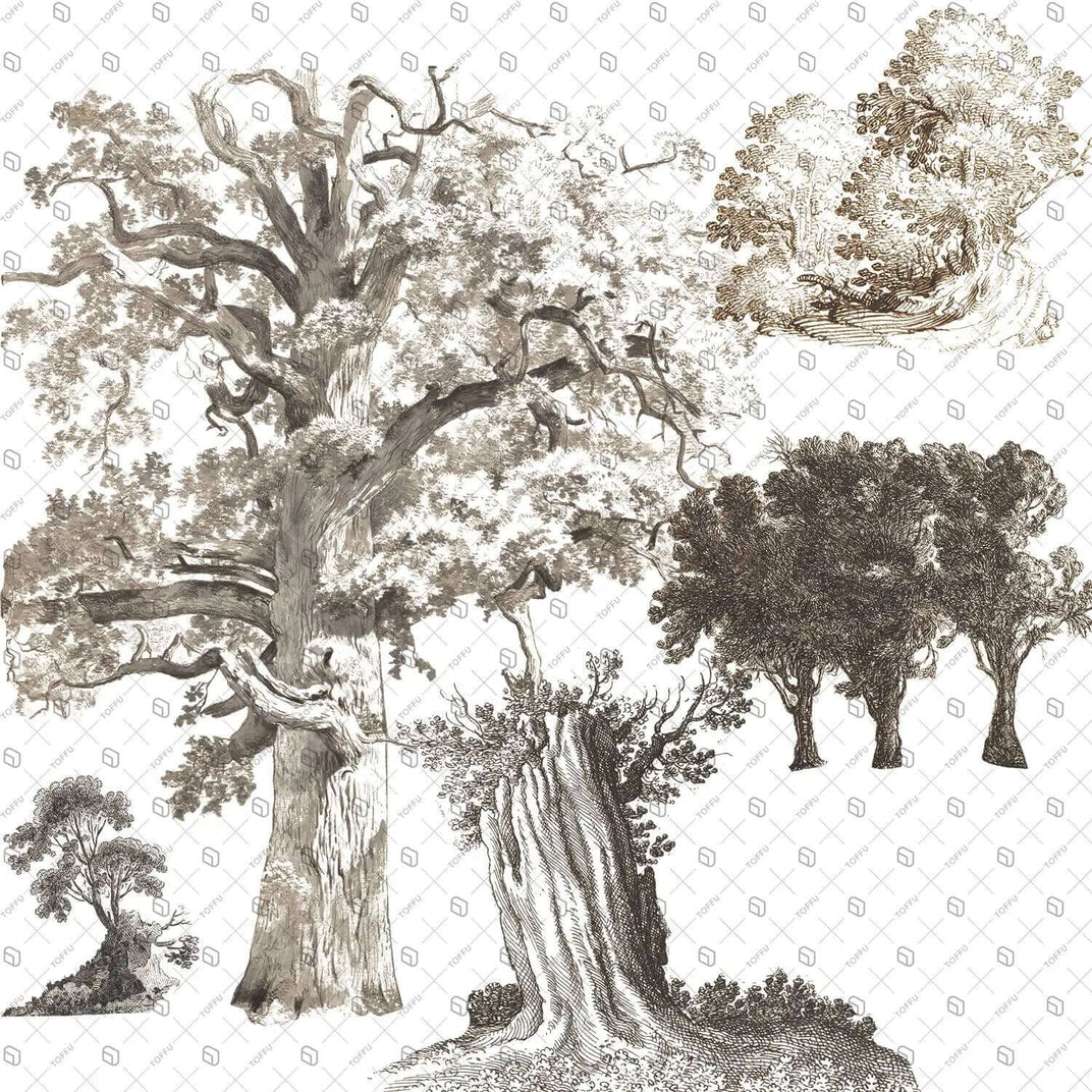 Cutout – Toffu Co
