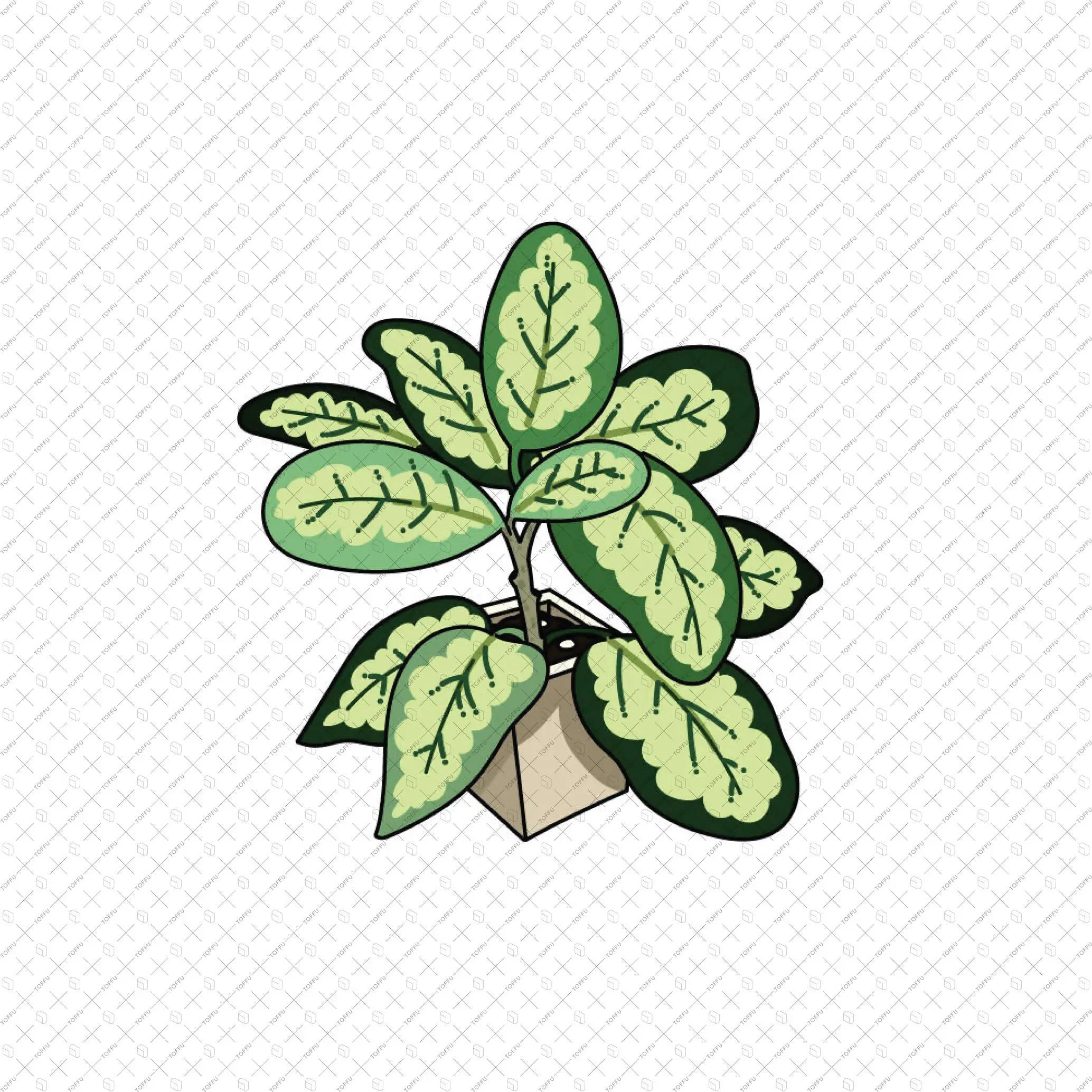Flat Vector 20 Indoor Plants Digital Artwork drawings | Toffu Co