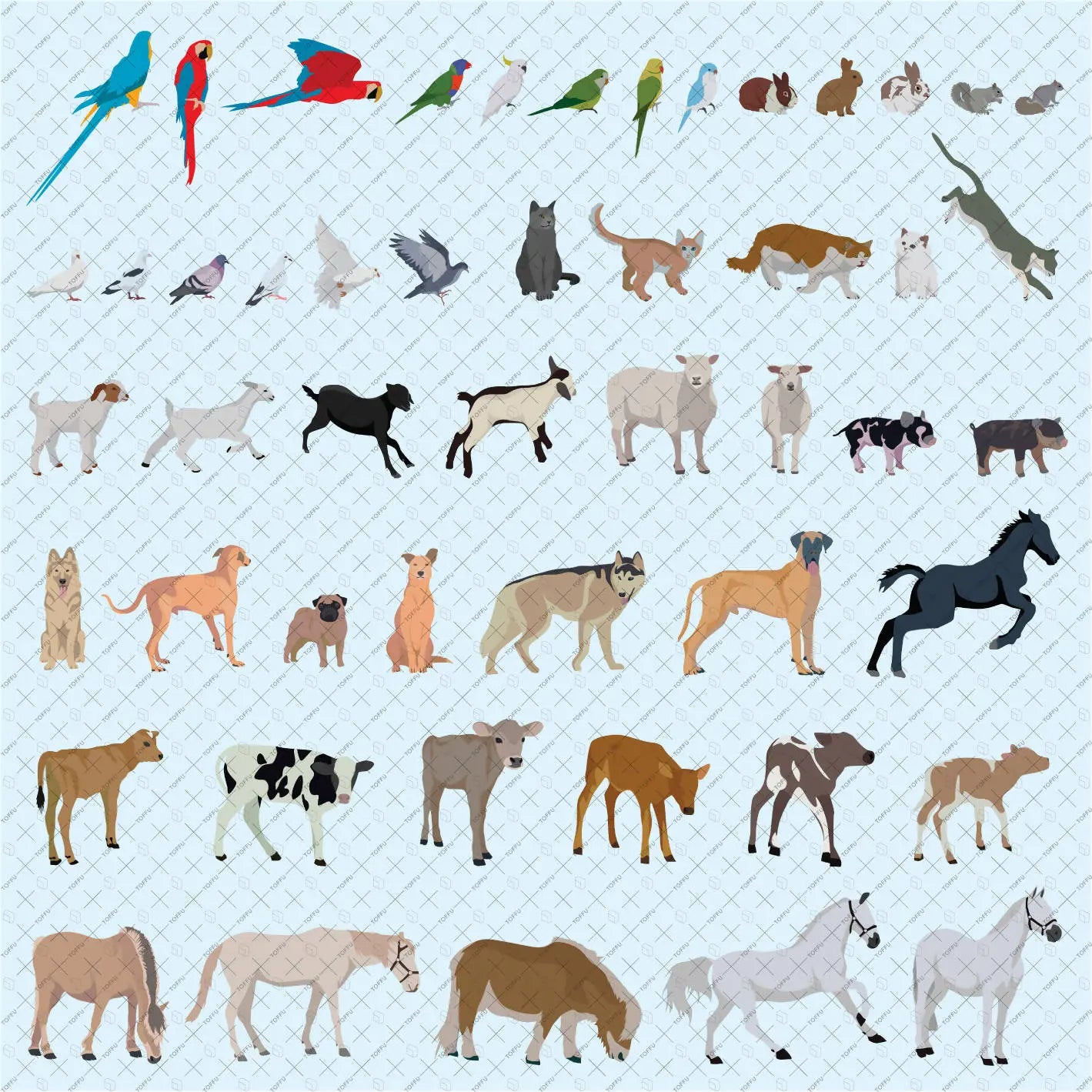 Flat Vector 50 Pet Animals & Birds Digital Artwork drawings | Toffu Co