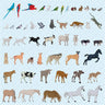 Flat Vector 50 Pet Animals & Birds PNG - Toffu Co