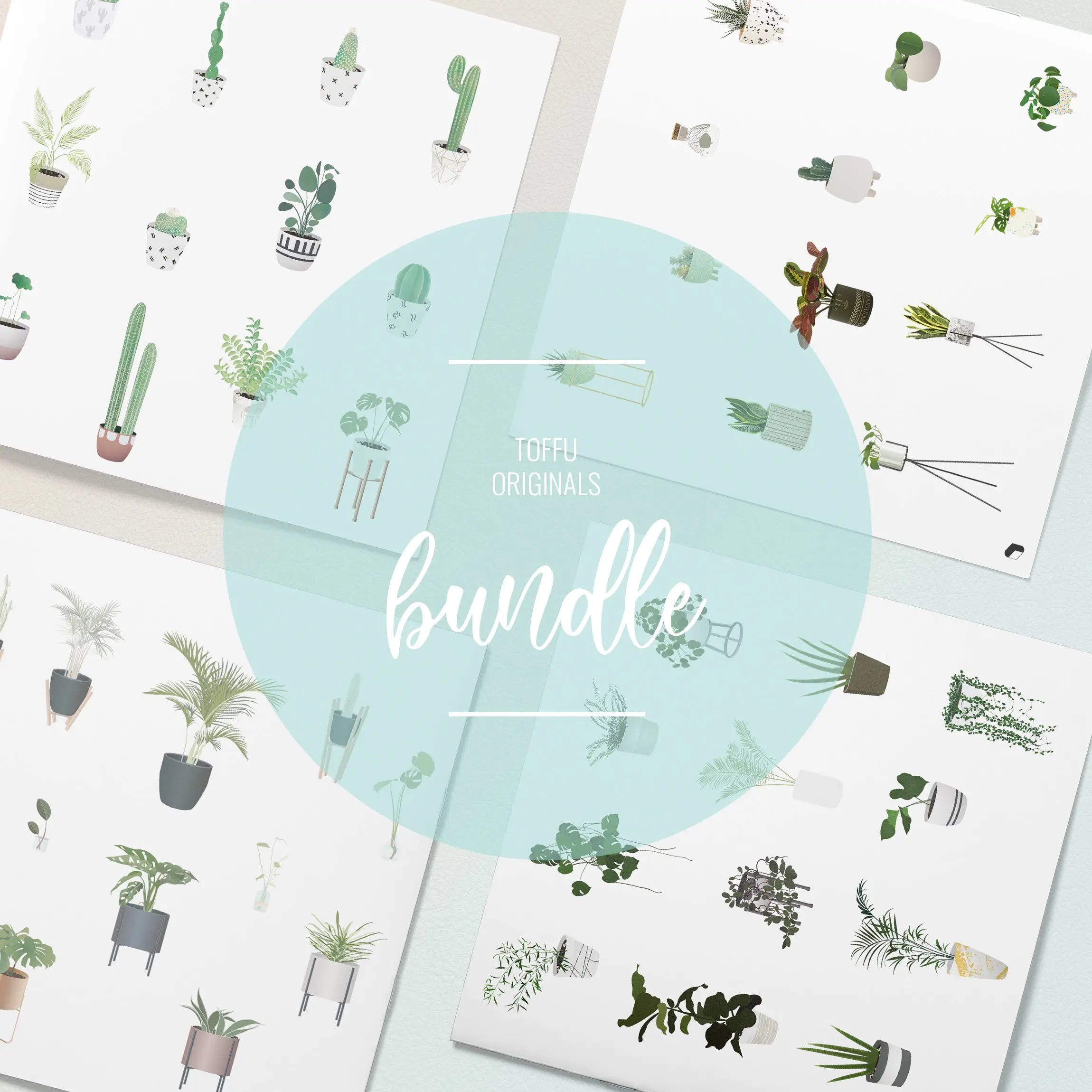 Flat Vector Interior Plants Bundle Digital Artwork drawings | Toffu Co