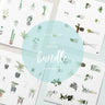 Flat Vector Interior Plants Bundle Digital Artwork drawings | Toffu Co