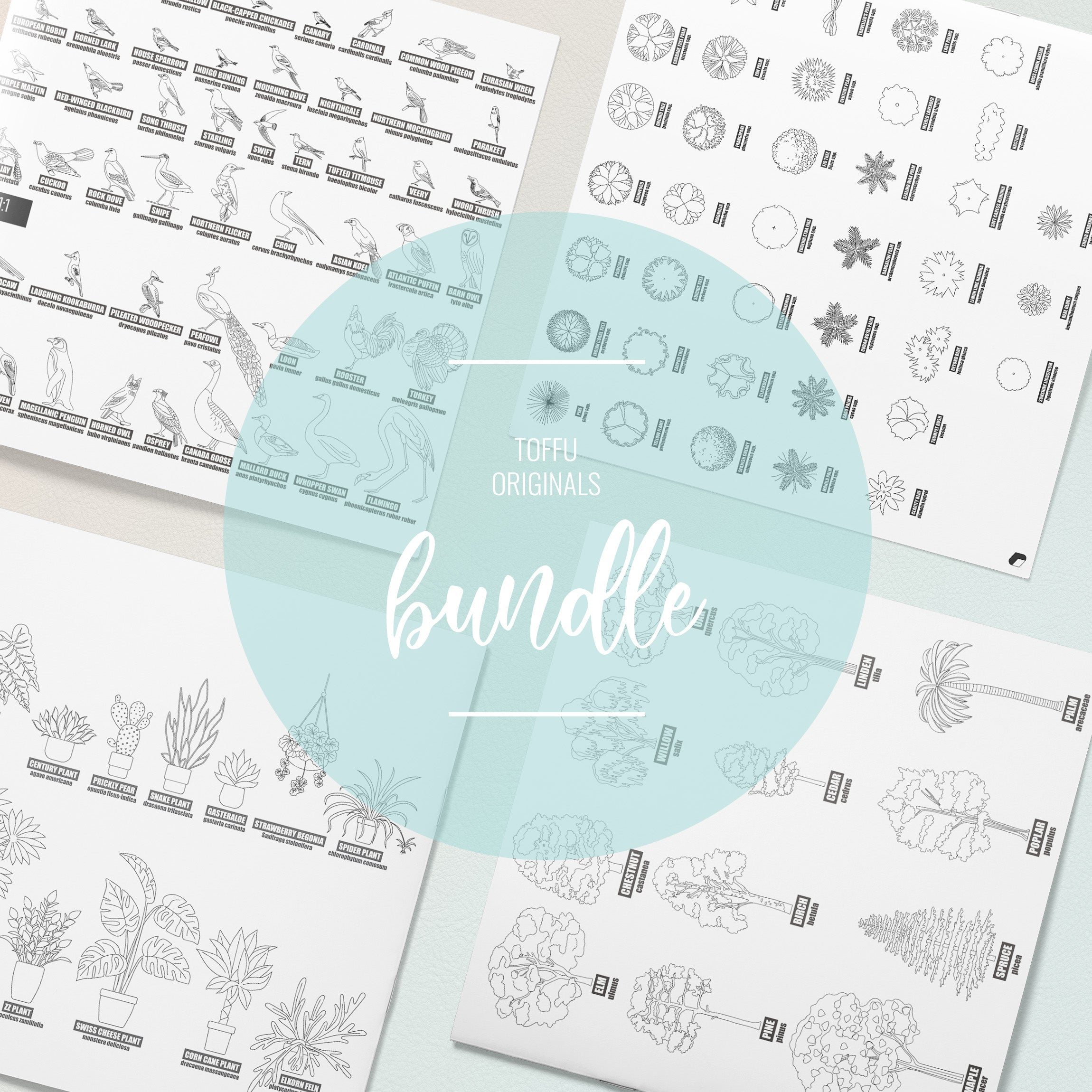 Cad Trees, Plants & Birds with Names Bundle PNG - Toffu Co